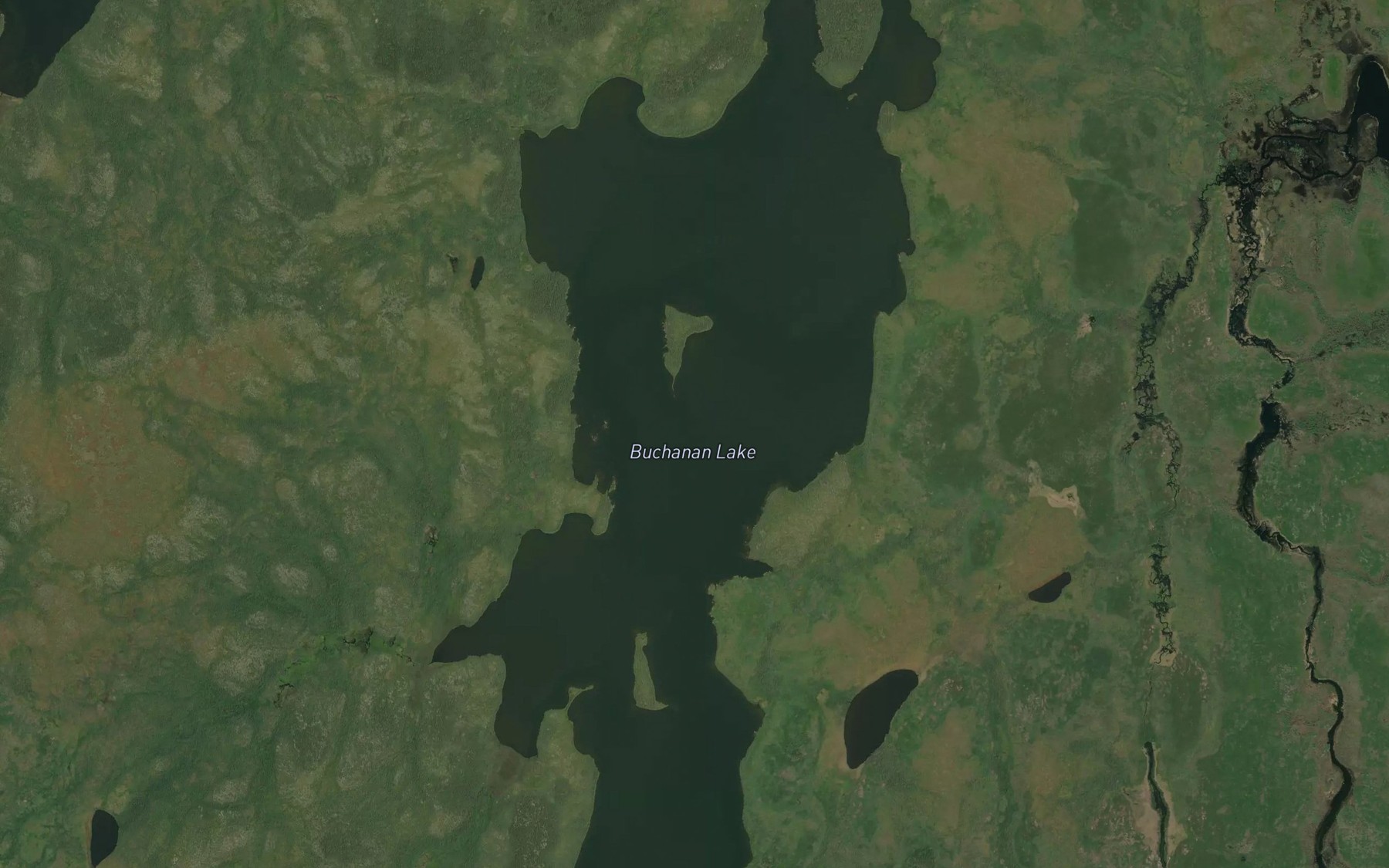 Satellite map of the Buchanan Lake