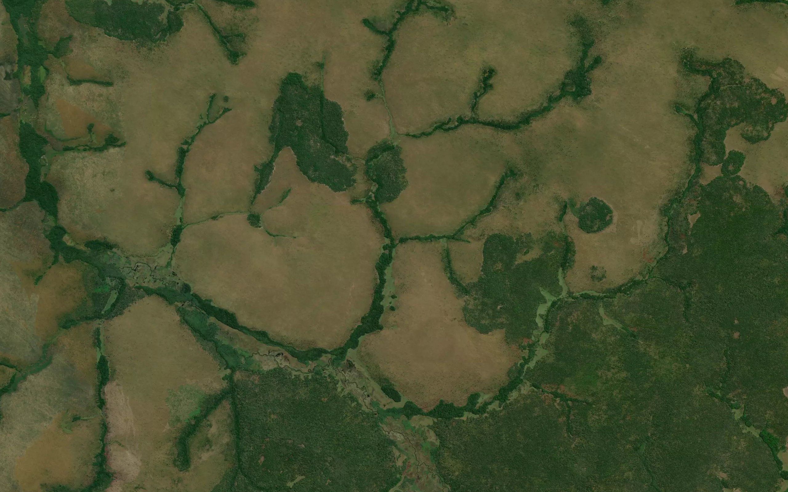 Tchala