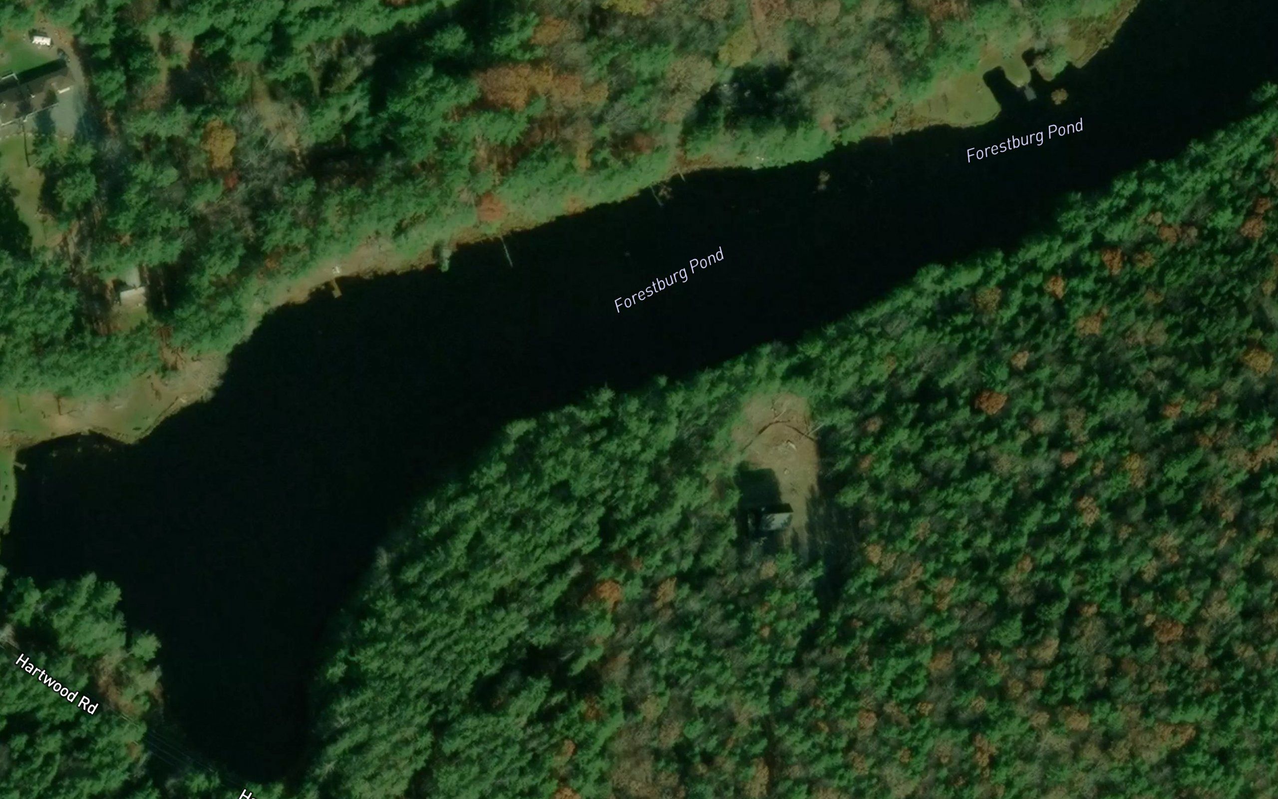 Forestburg Pond