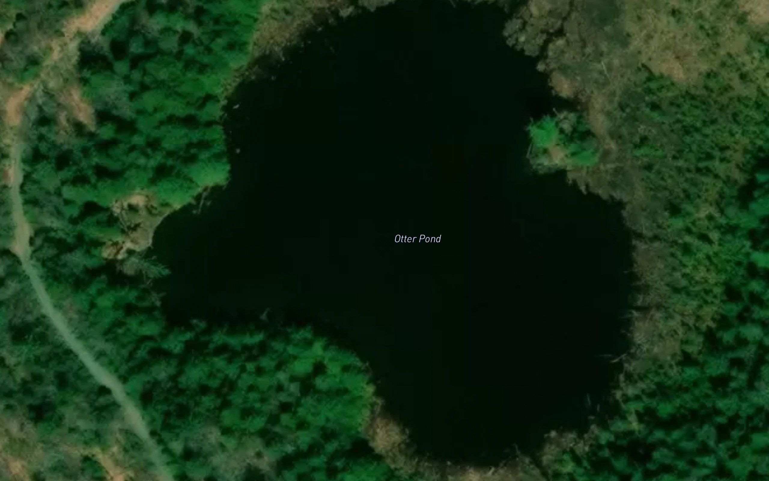 Otter Pond