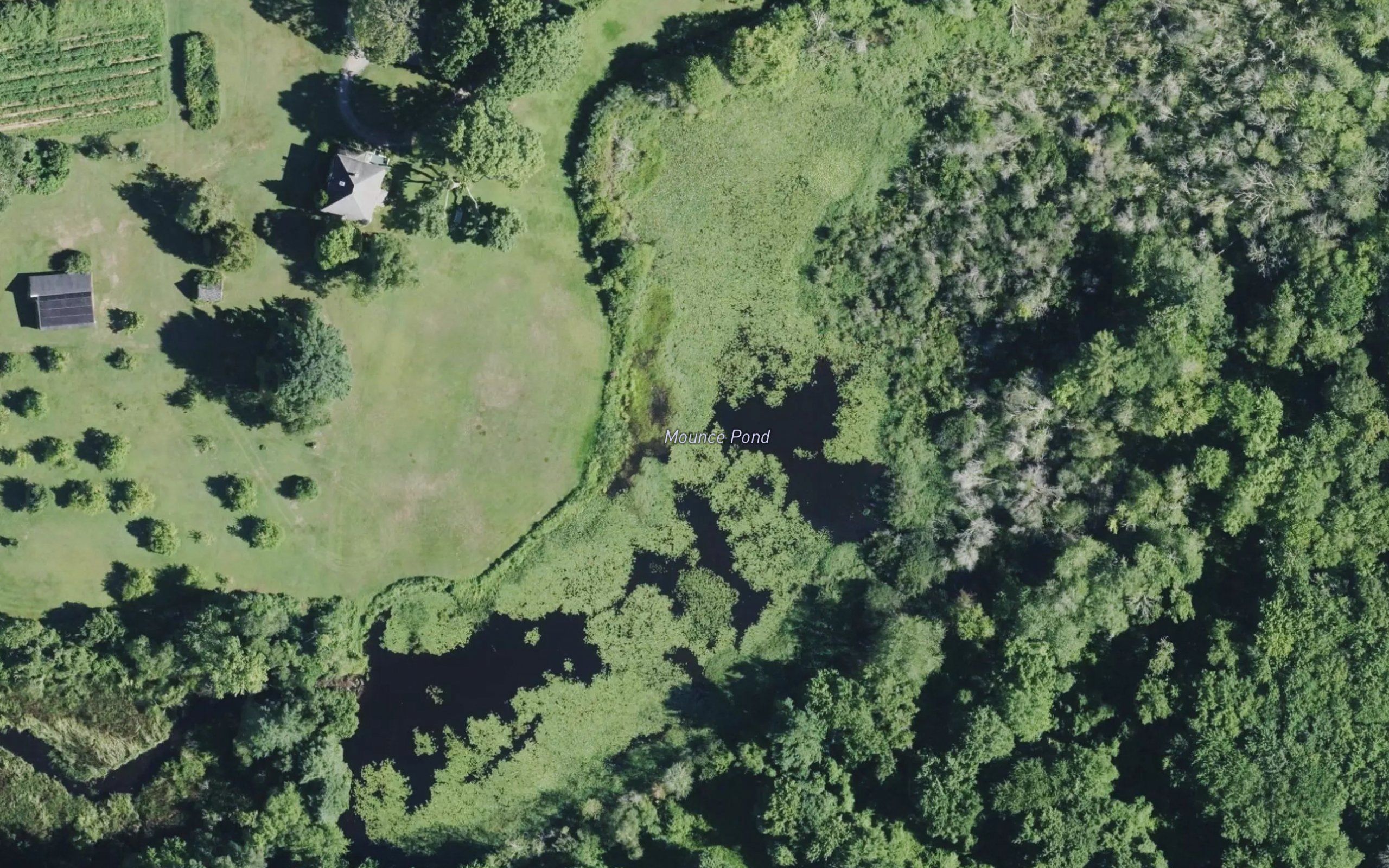 Mounce Pond