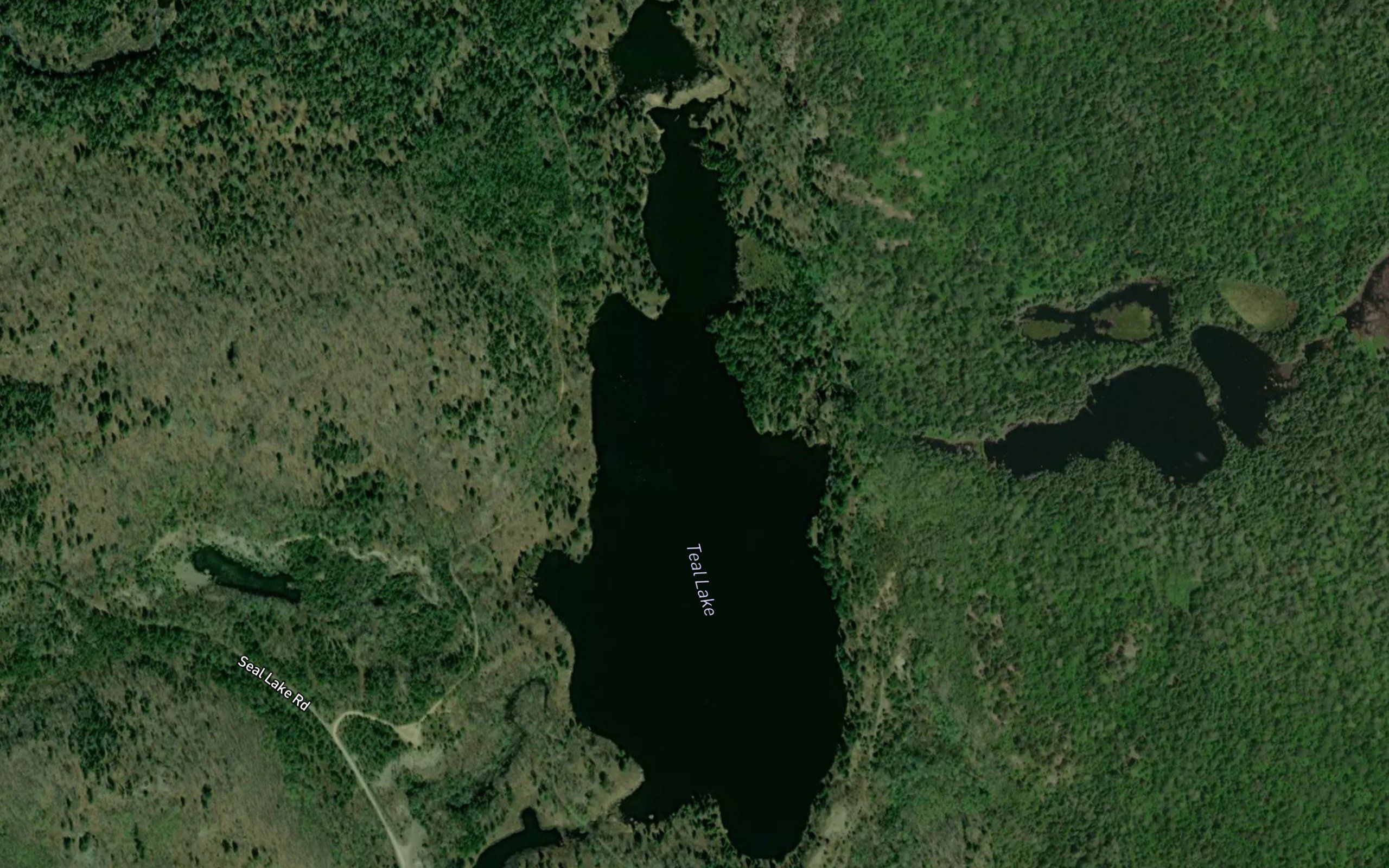 Teal Lake
