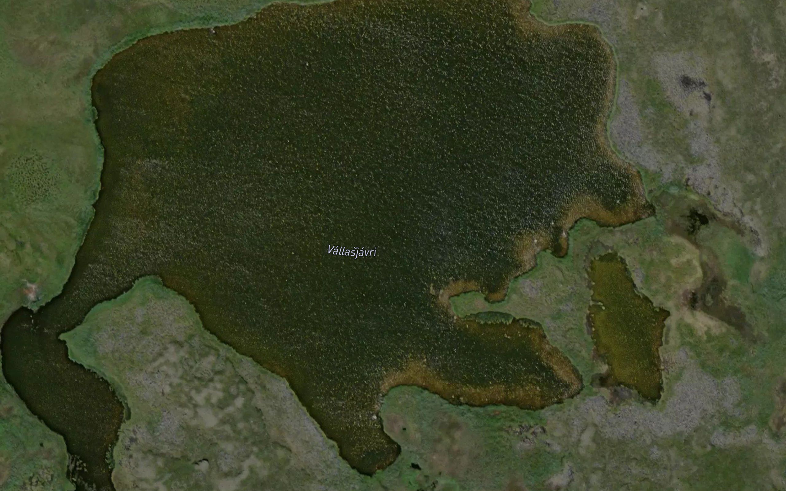Vallasjavri
