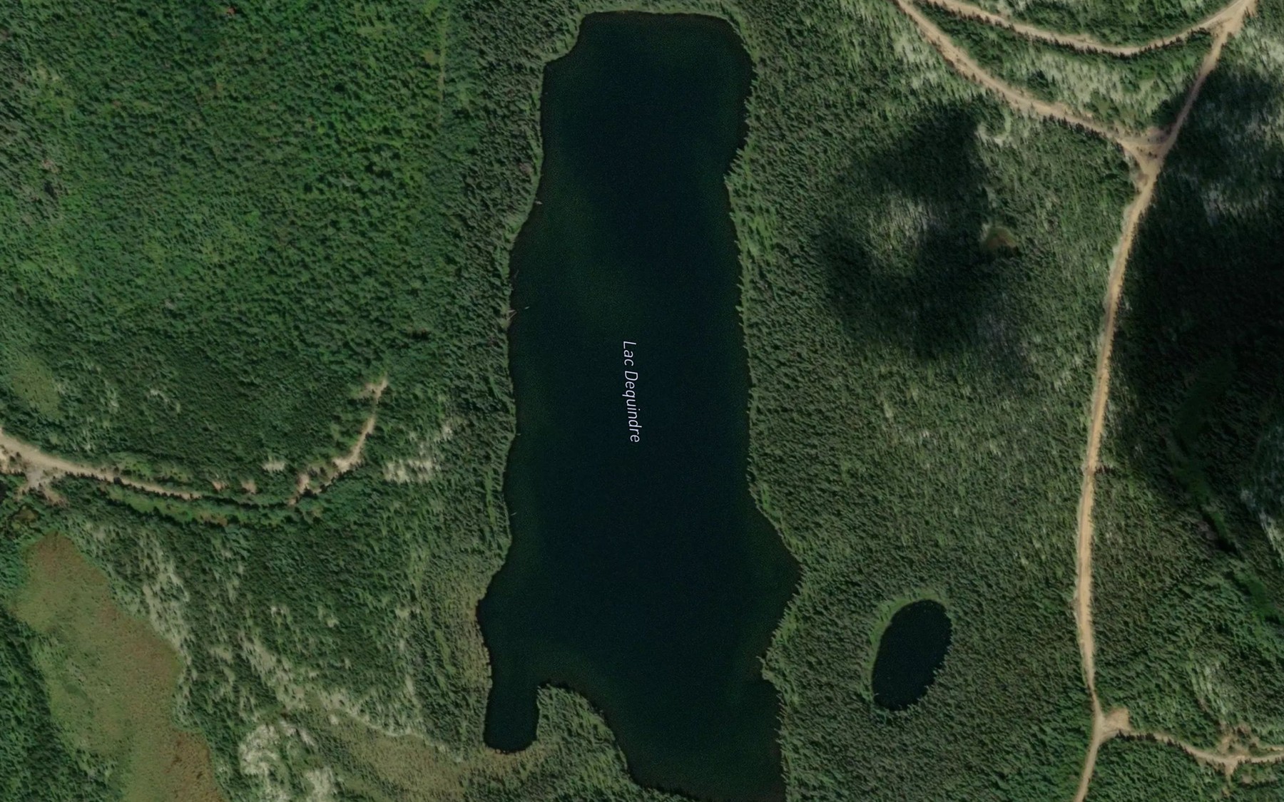 Satellite map of the Lac Dequindre
