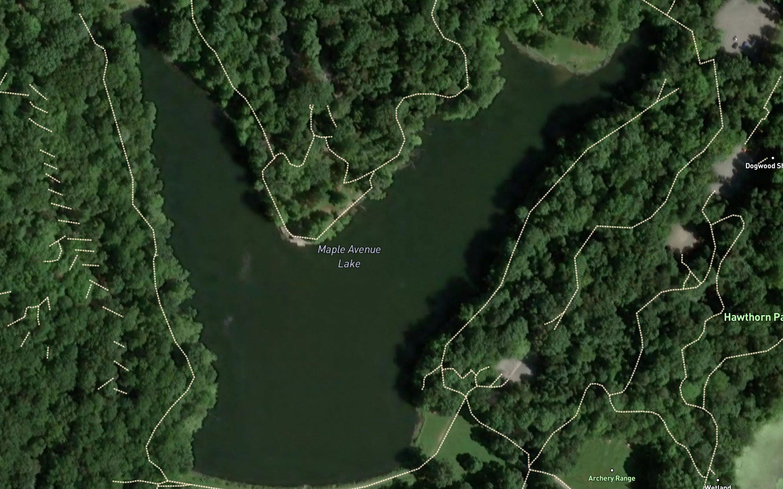 Maple Avenue Lake