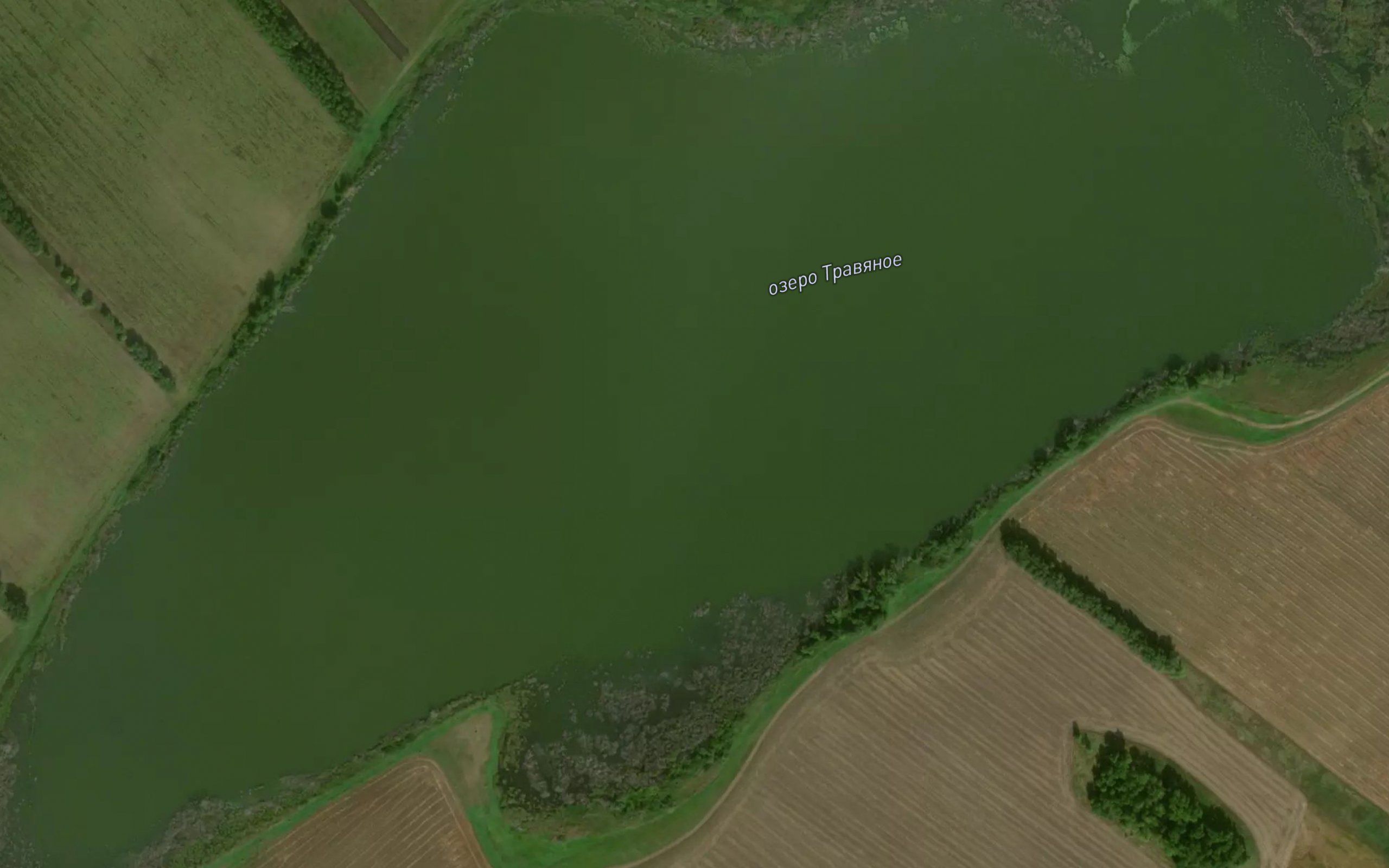 Ozero Travyanoye