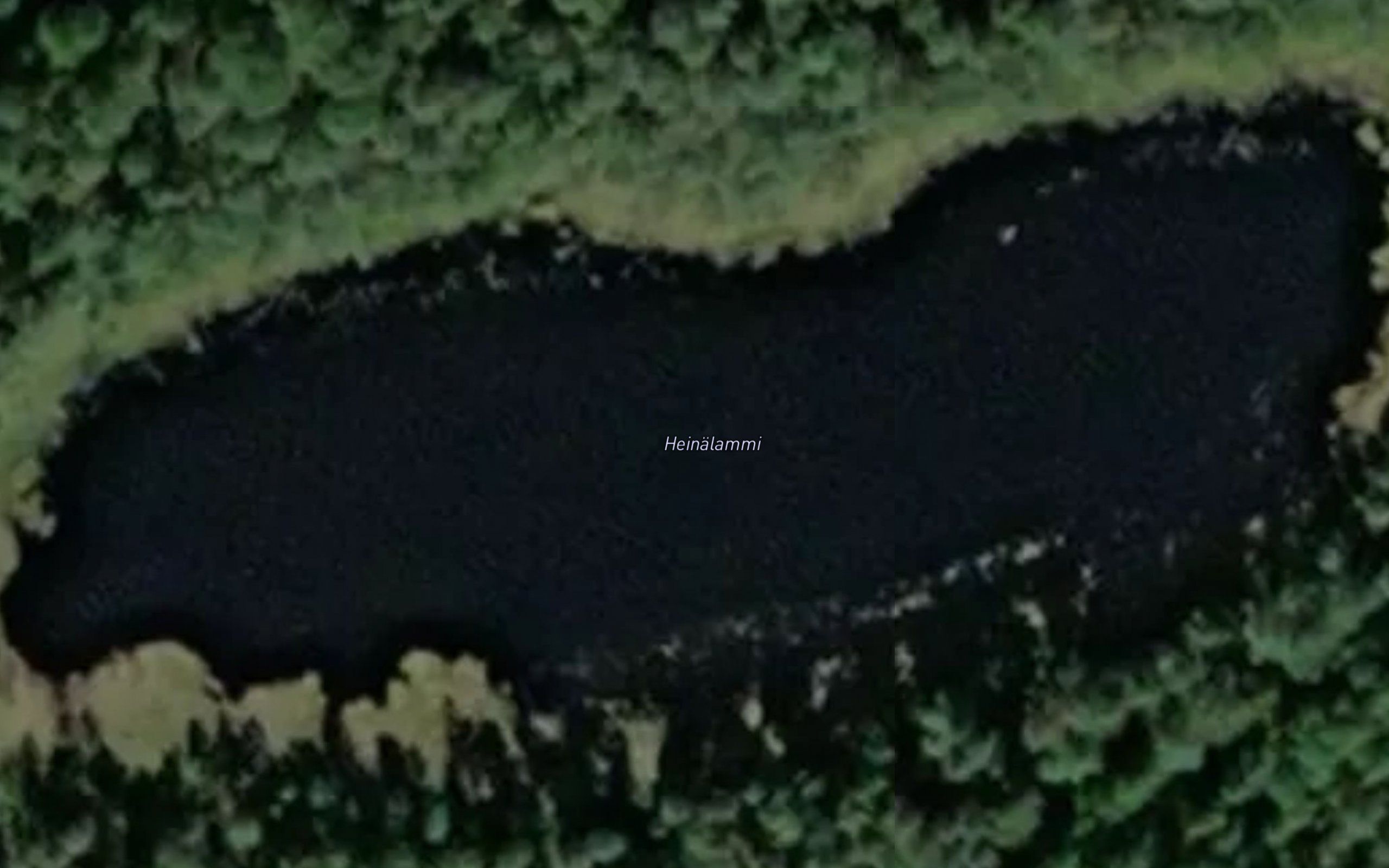 Heinalammi