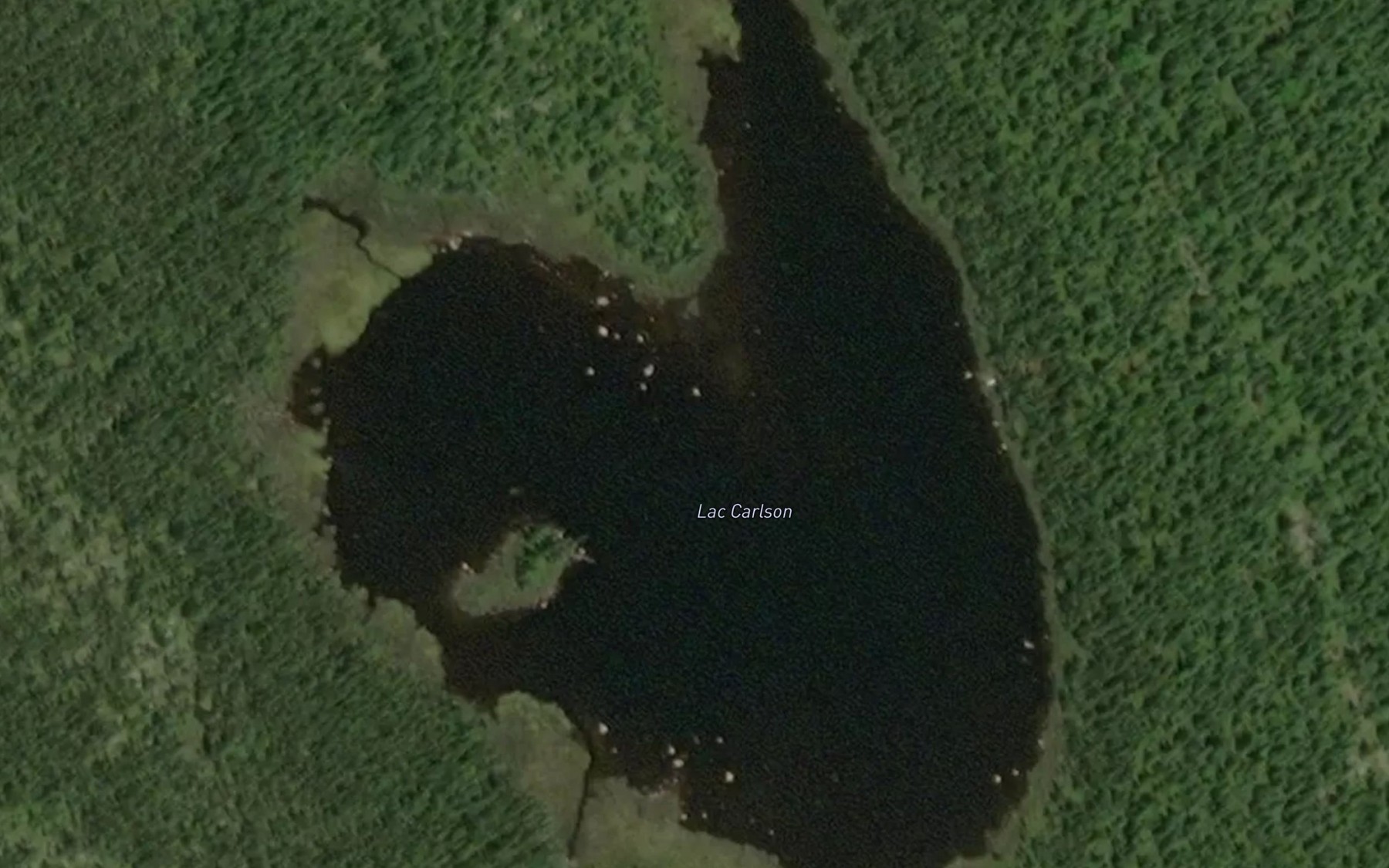 Satellite map of the Lac Carlson