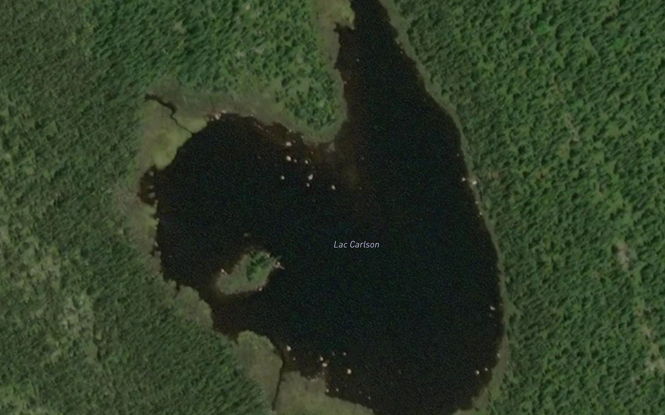 Lac Carlson