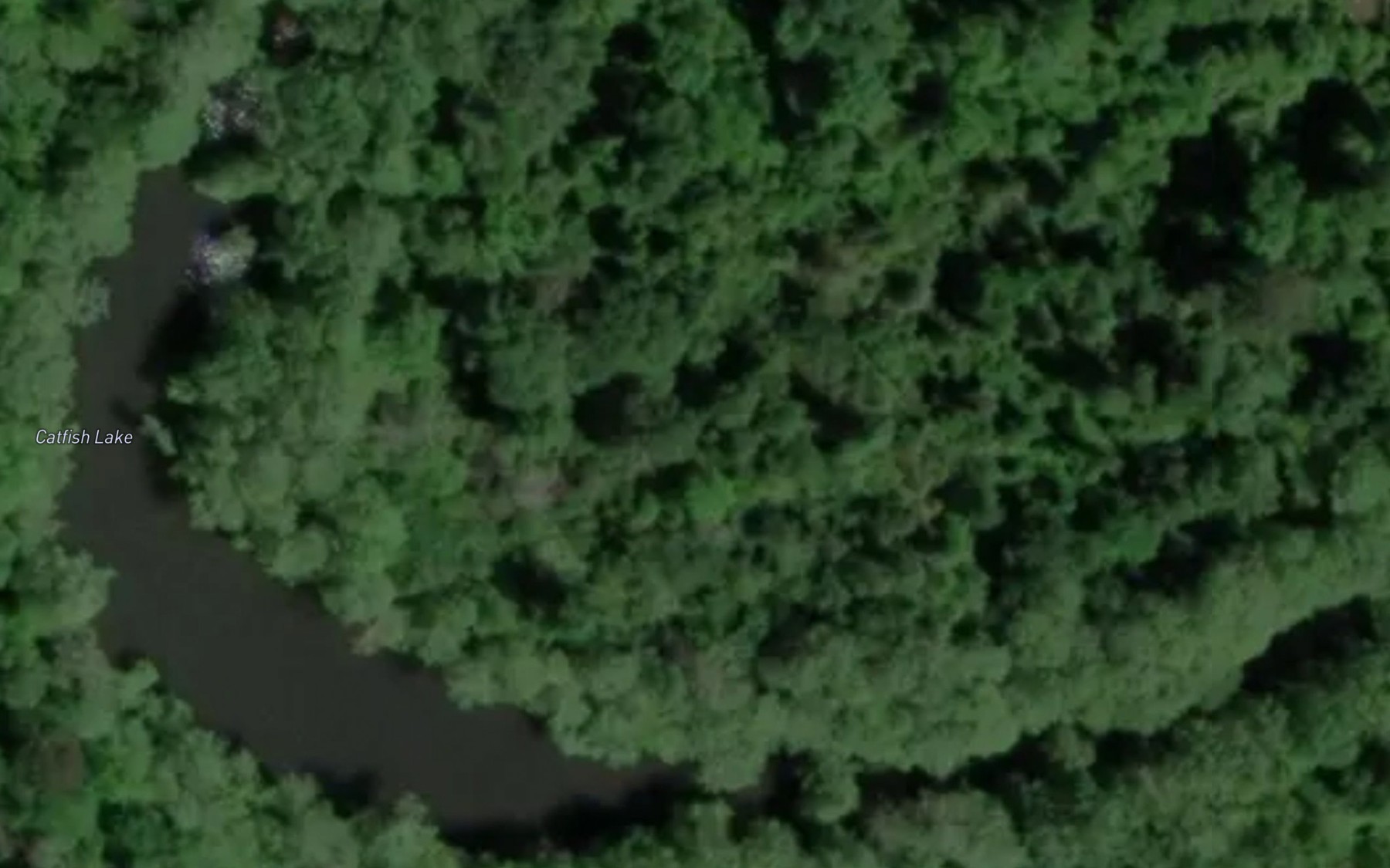 Satellite map of the Catfish Lake