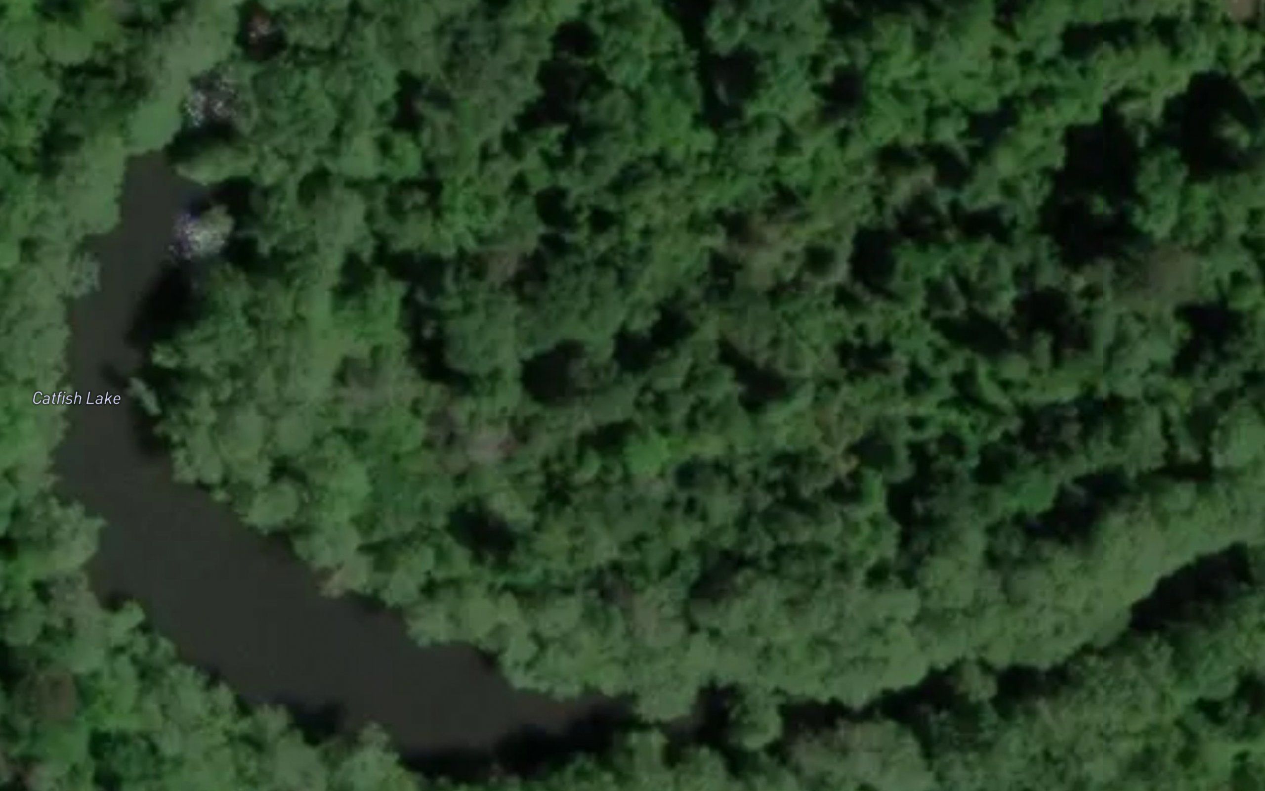 Catfish Lake