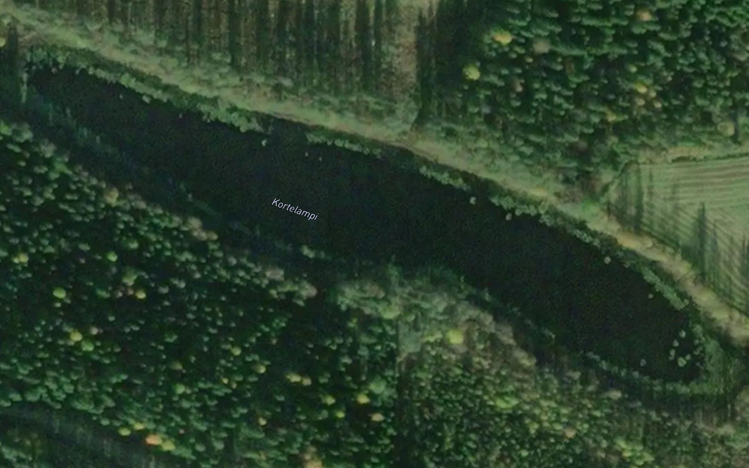 Kortelampi