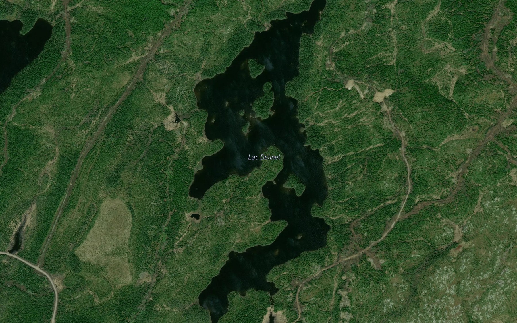 Satellite map of the Lac Delinel
