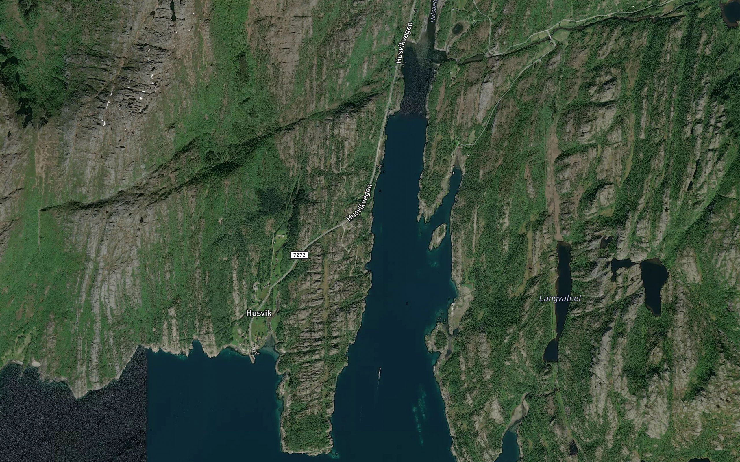Gangvika