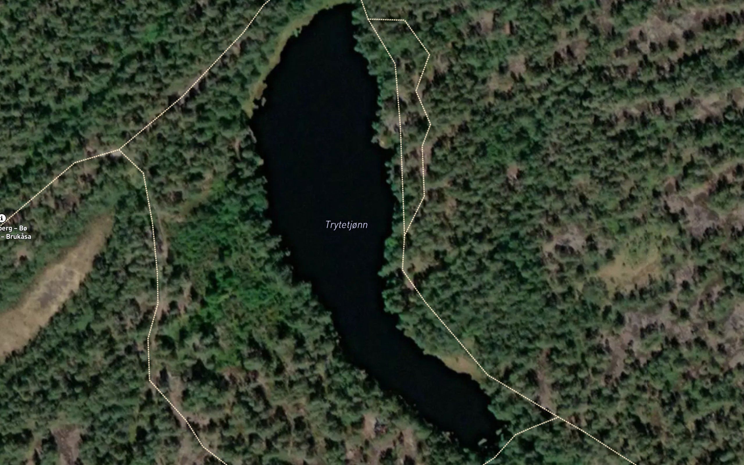 Trytetjornane