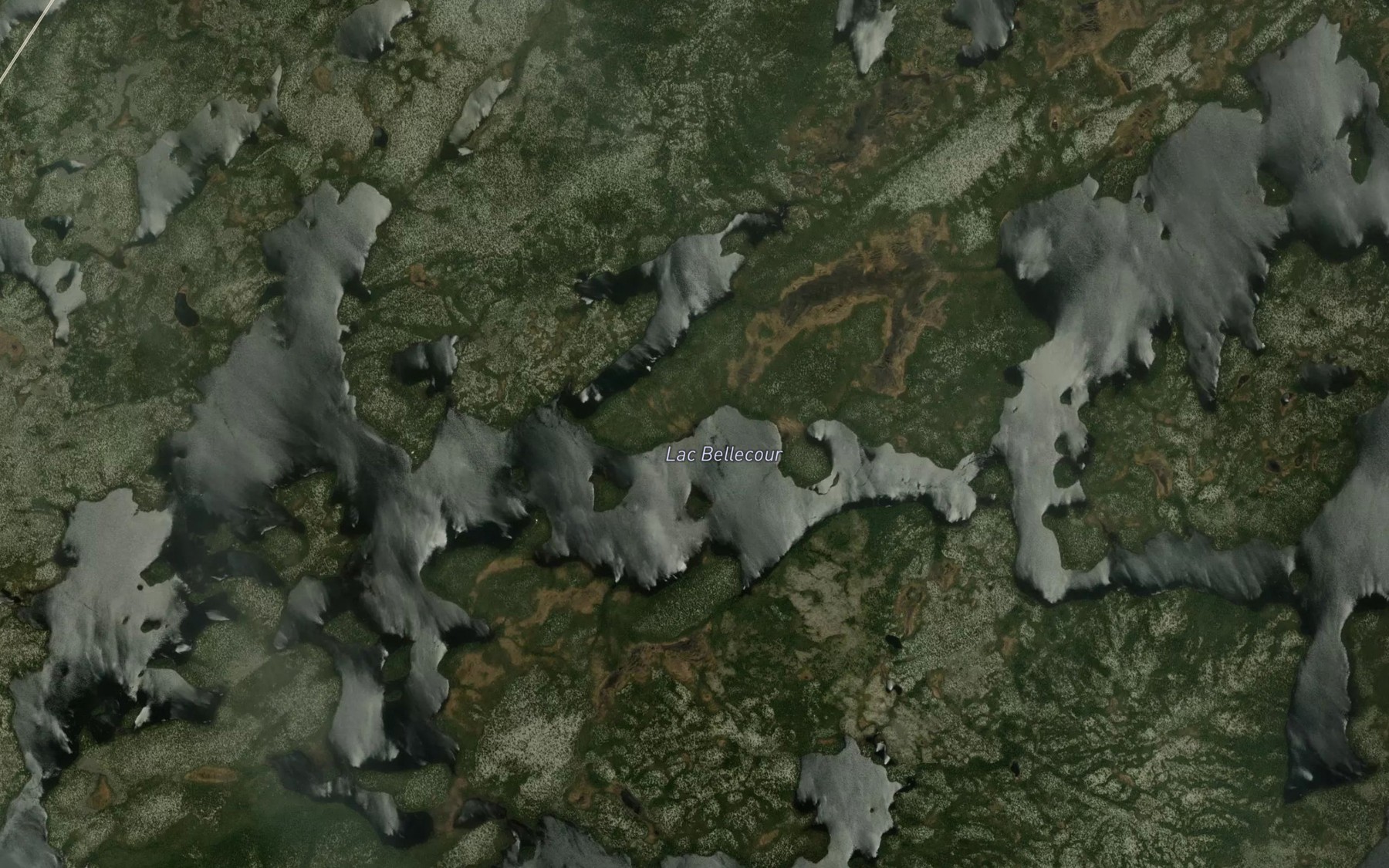 Satellite map of the Lac Bellecour
