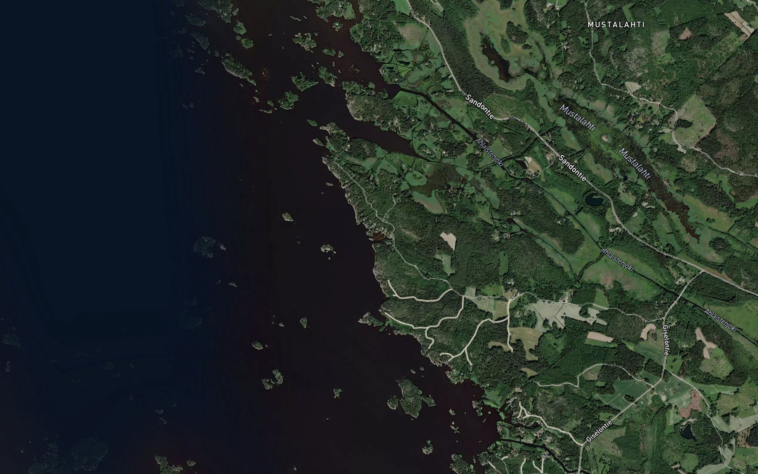 Haminaviiki