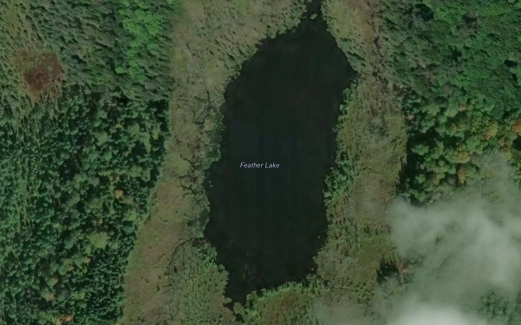 Satellite map of the Feather Lake