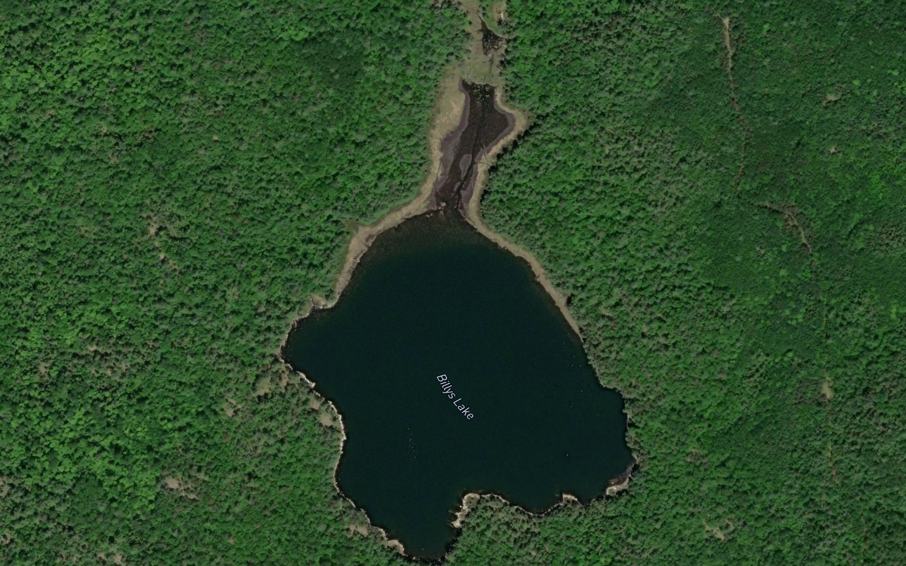 Satellite map of the Billys Lake