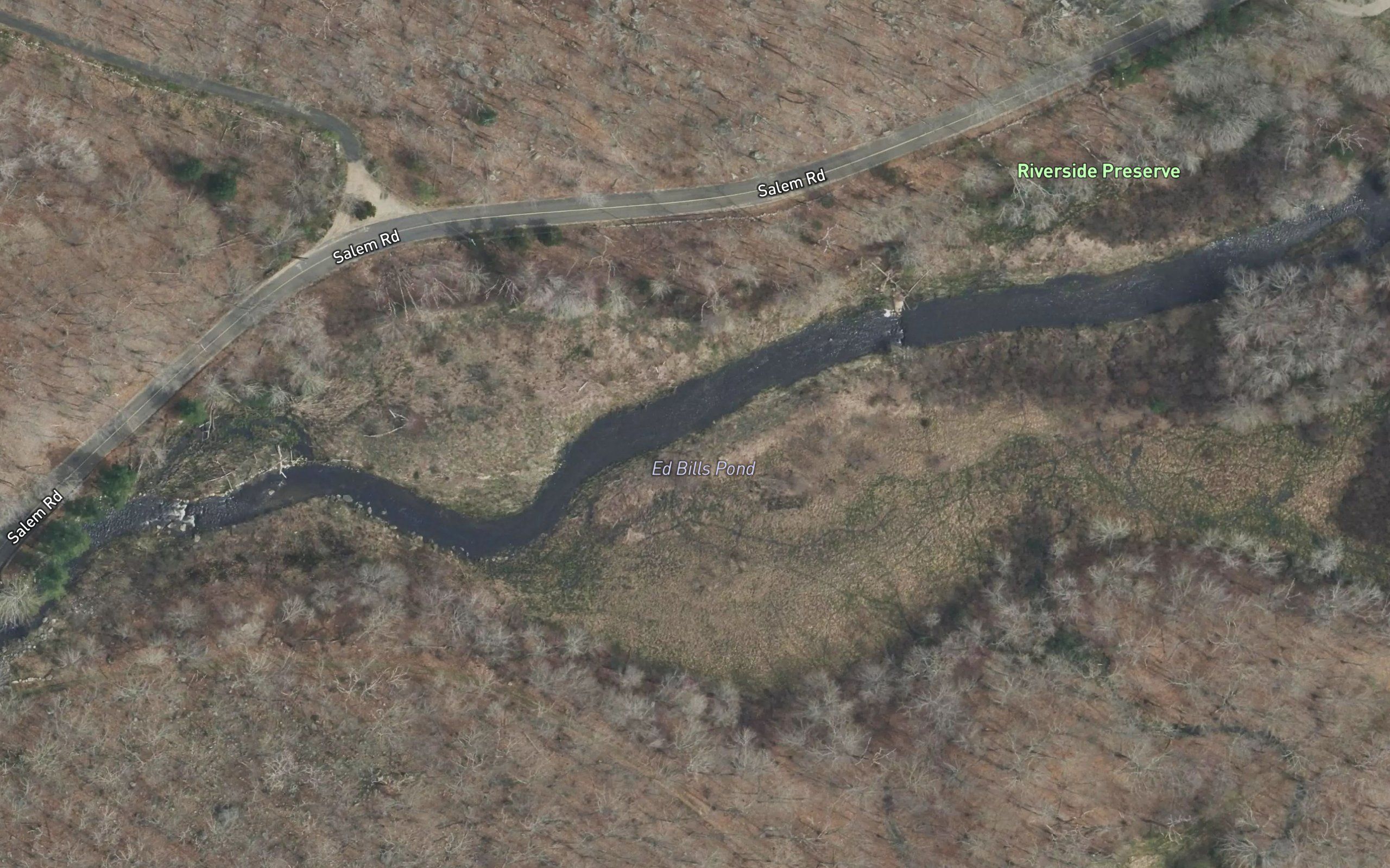 Ed Bills Pond