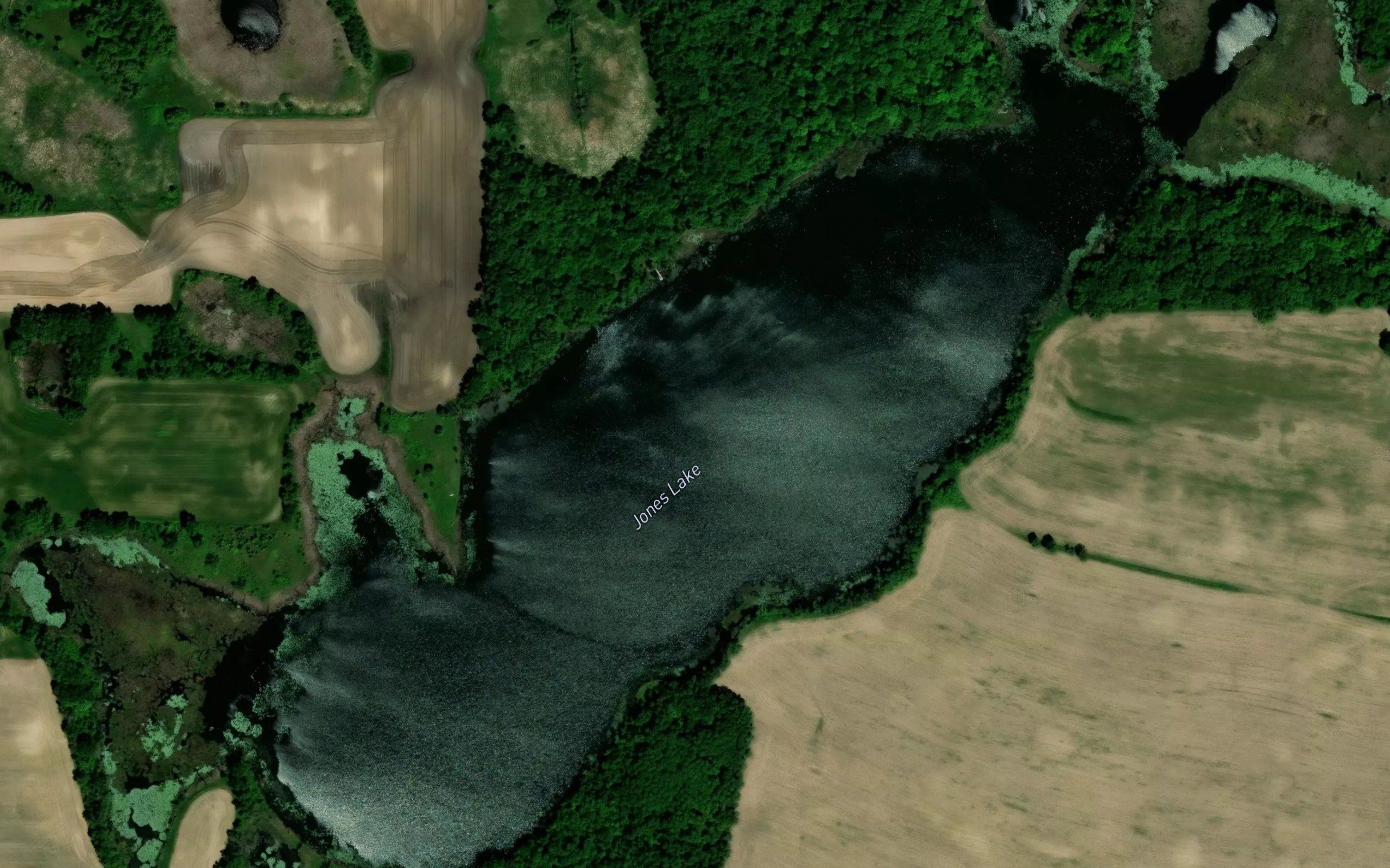 Jones Lake