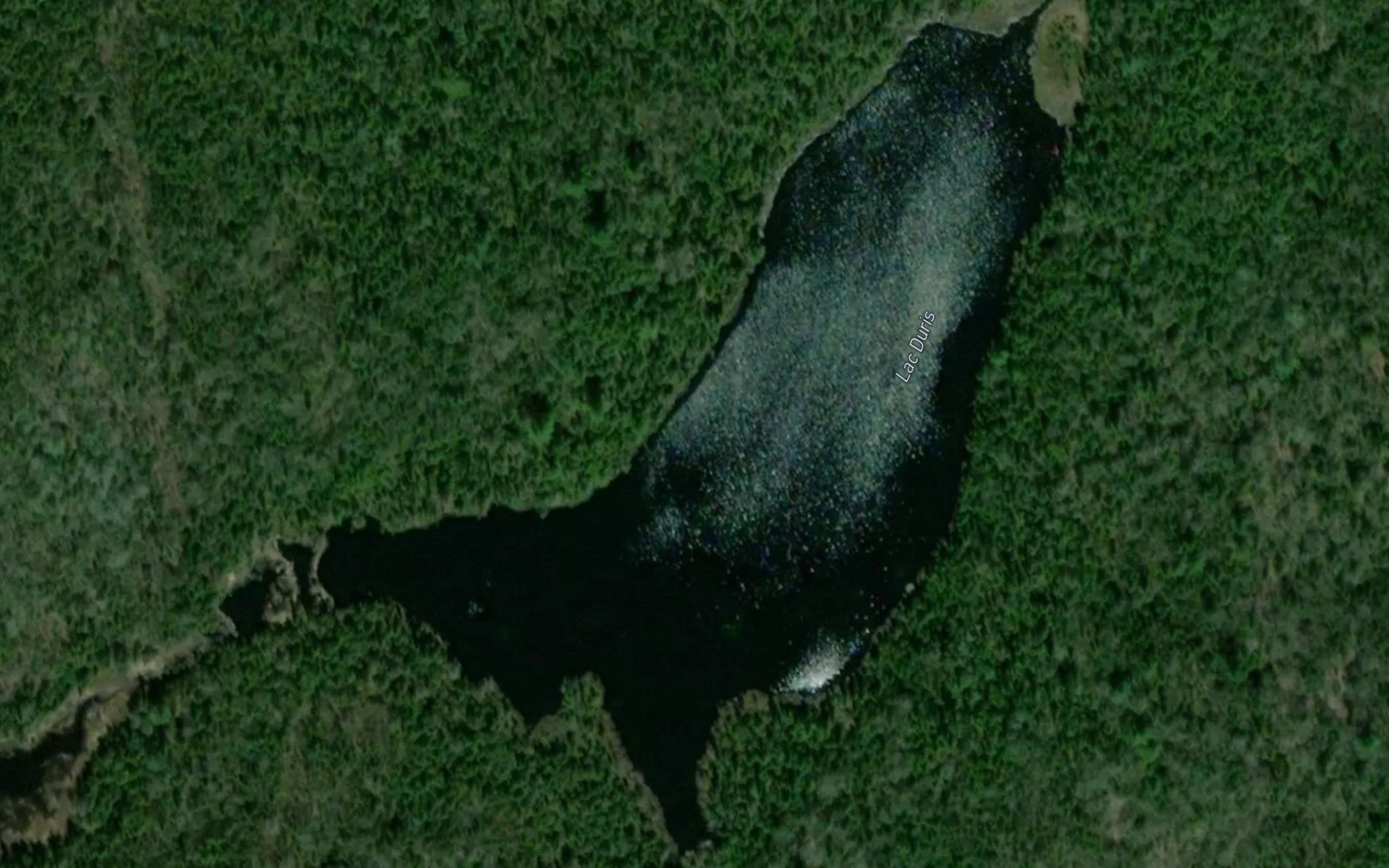 Lac Duris