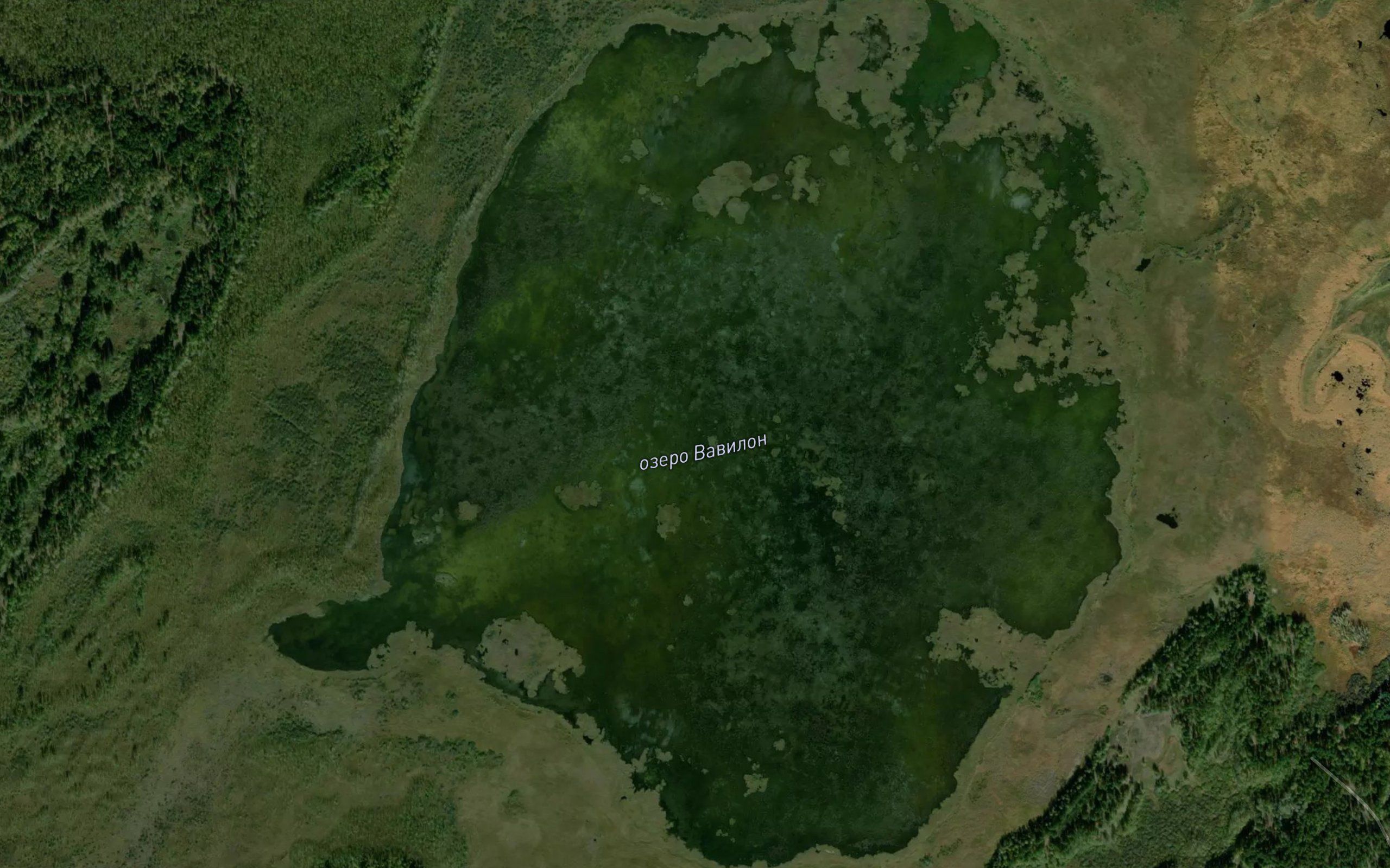 Ozero Vavilon