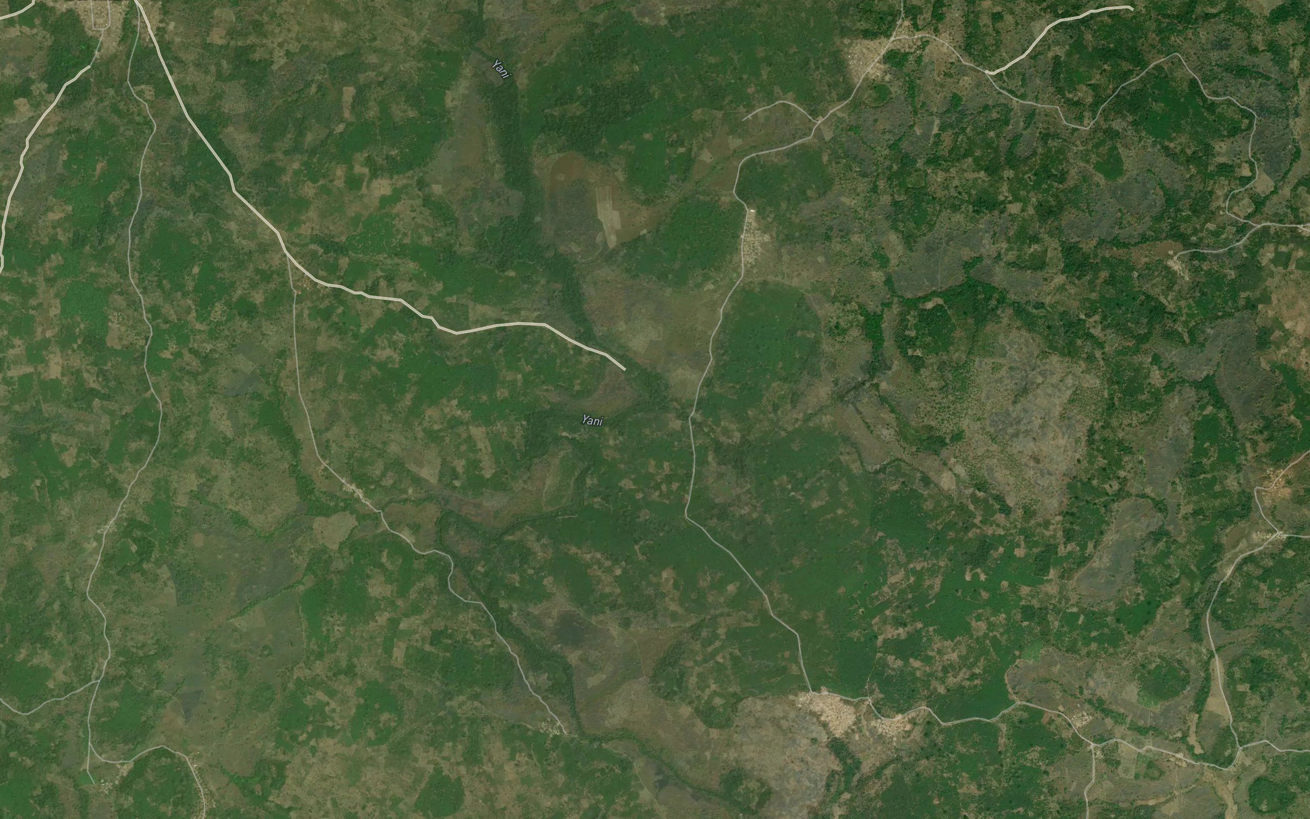 Guibo
