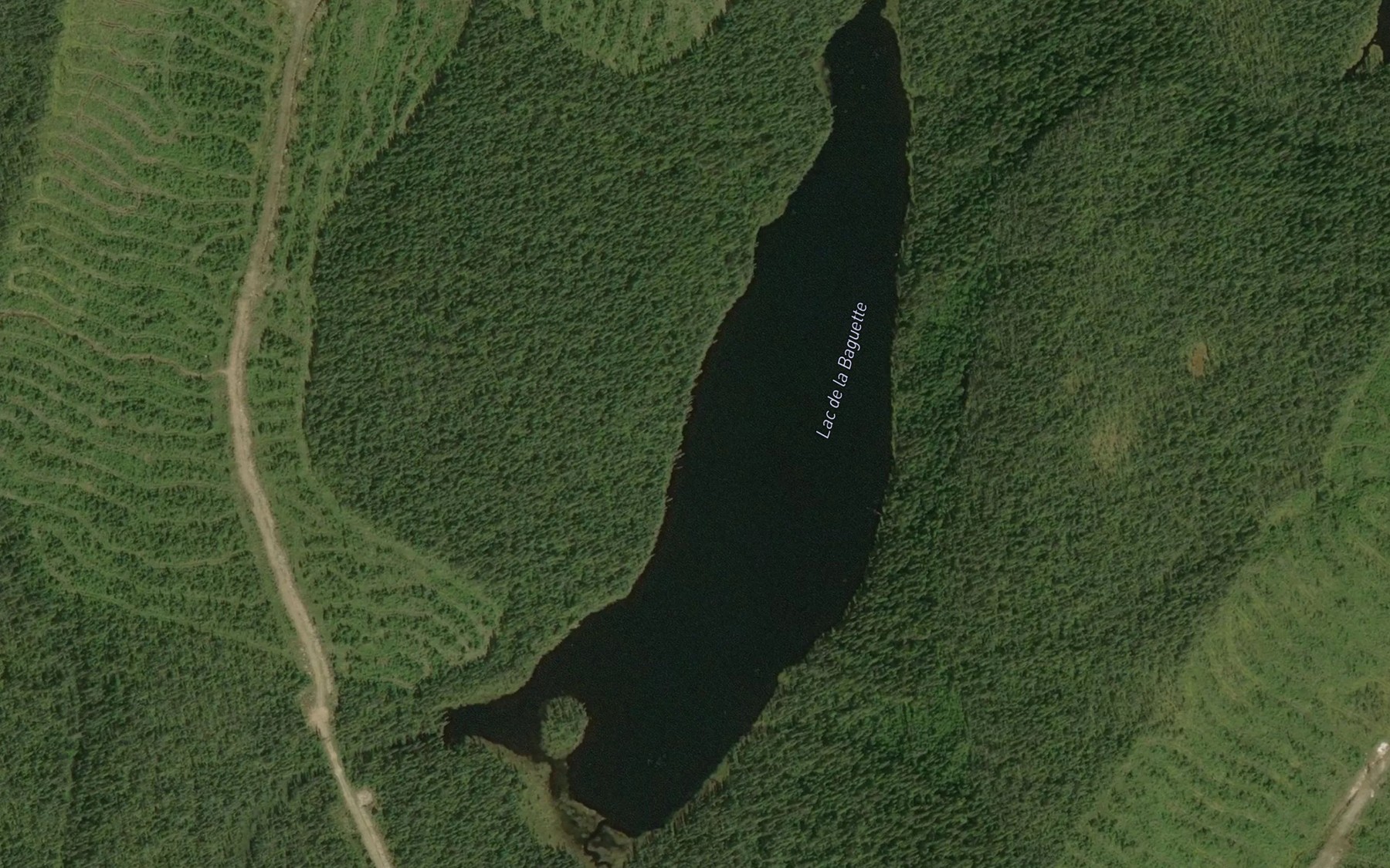 Satellite map of the Lac de la Baguette