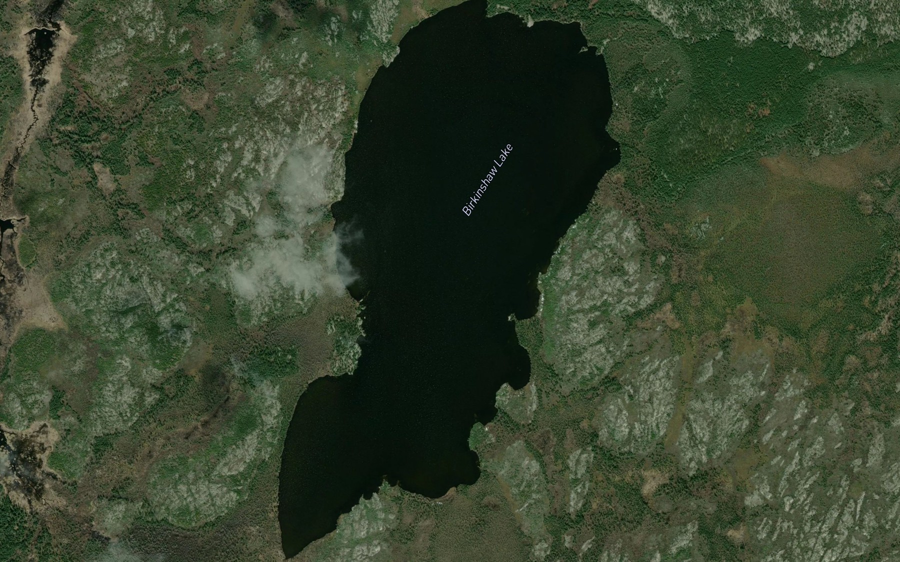 Satellite map of the Birkinshaw Lake