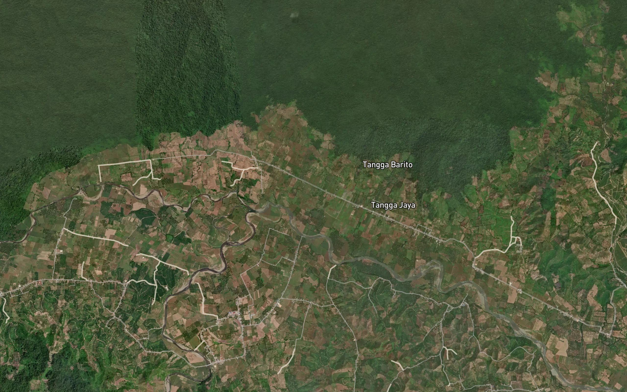 Dutula Pangaho