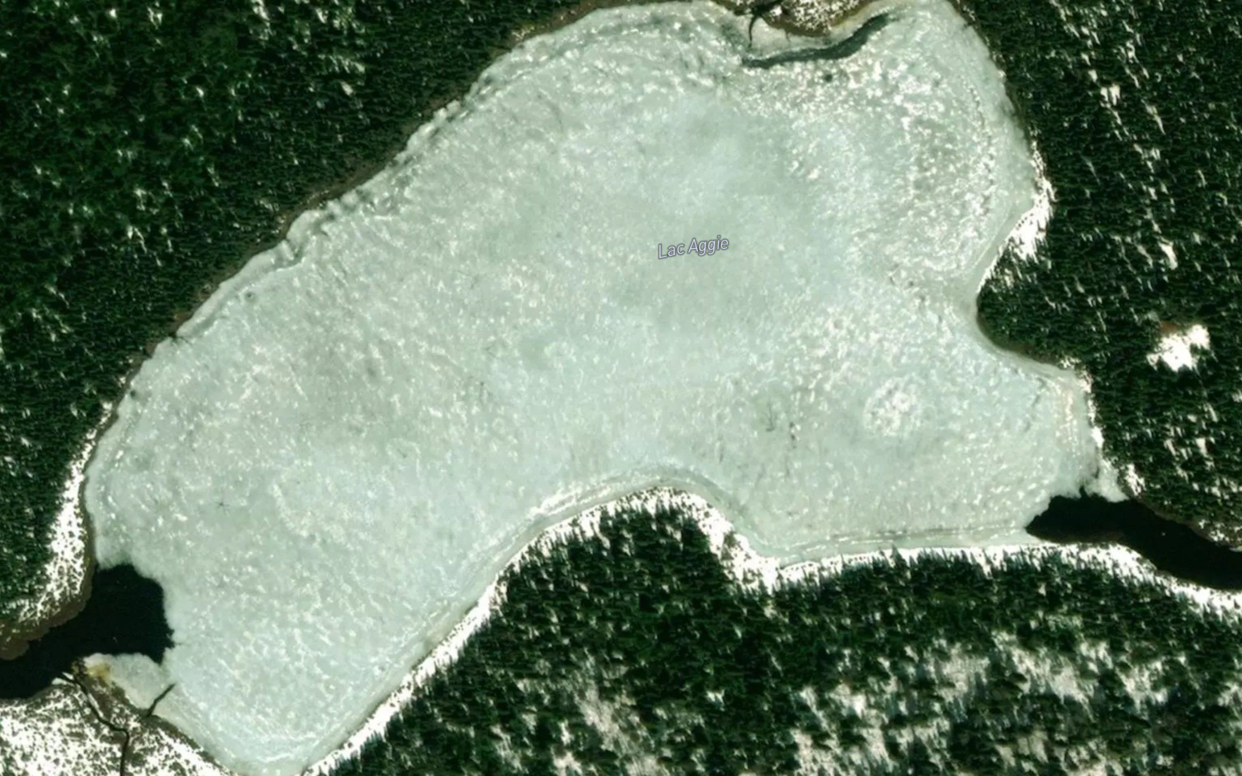 Lac Aggie