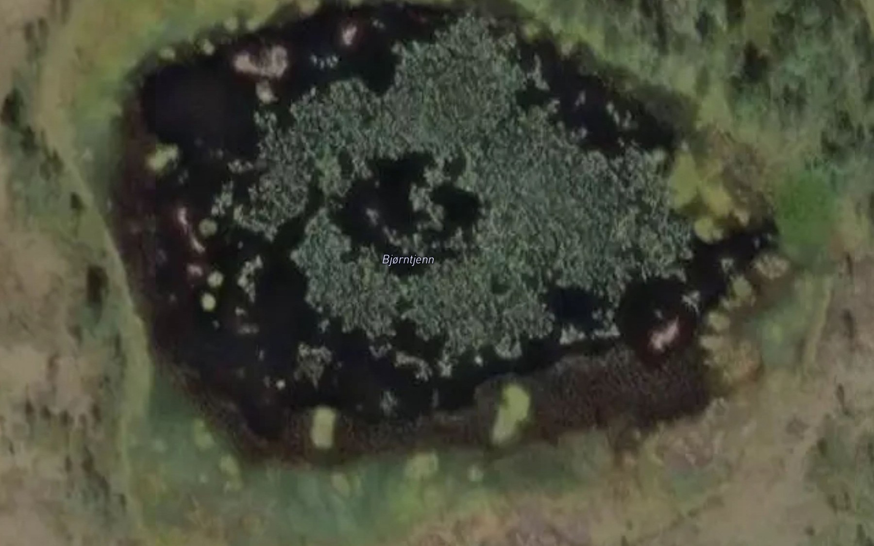 Satellite map of the Bjorntjern