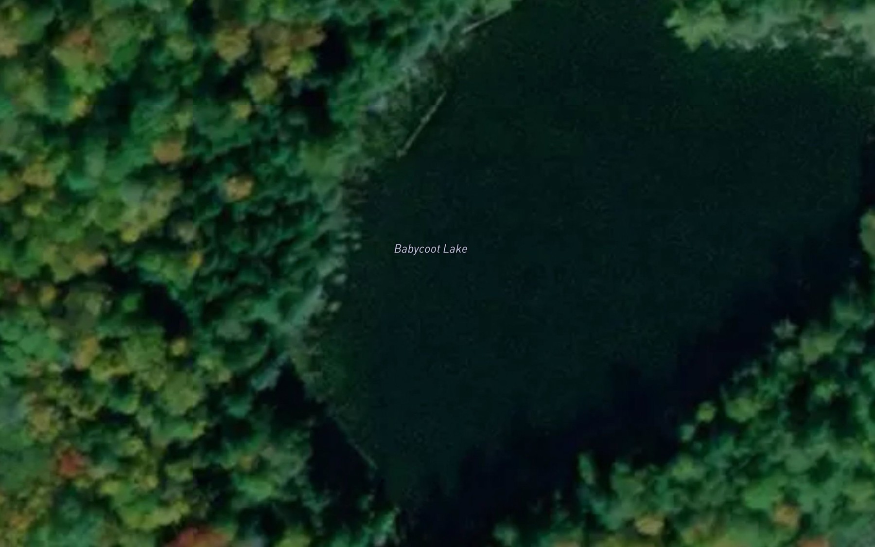 Satellite map of the Babycoot Lake