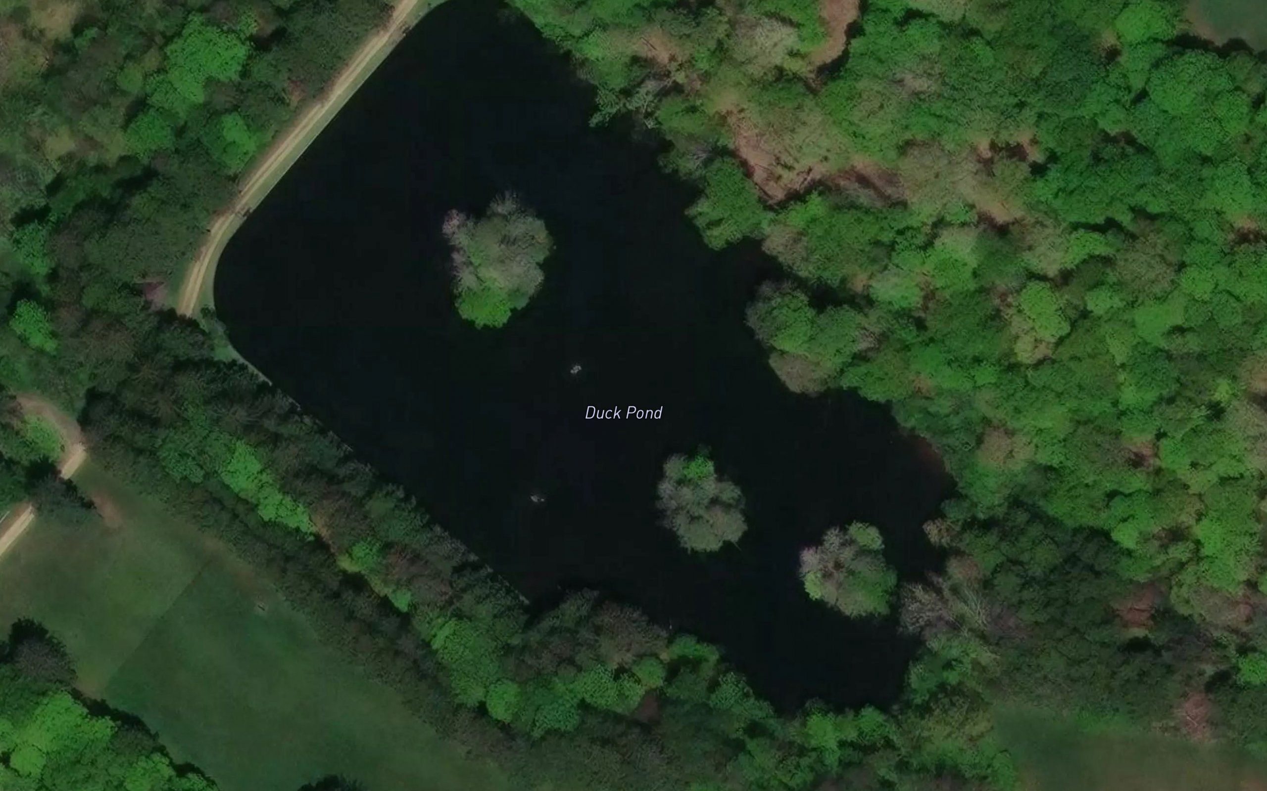 Duck Pond