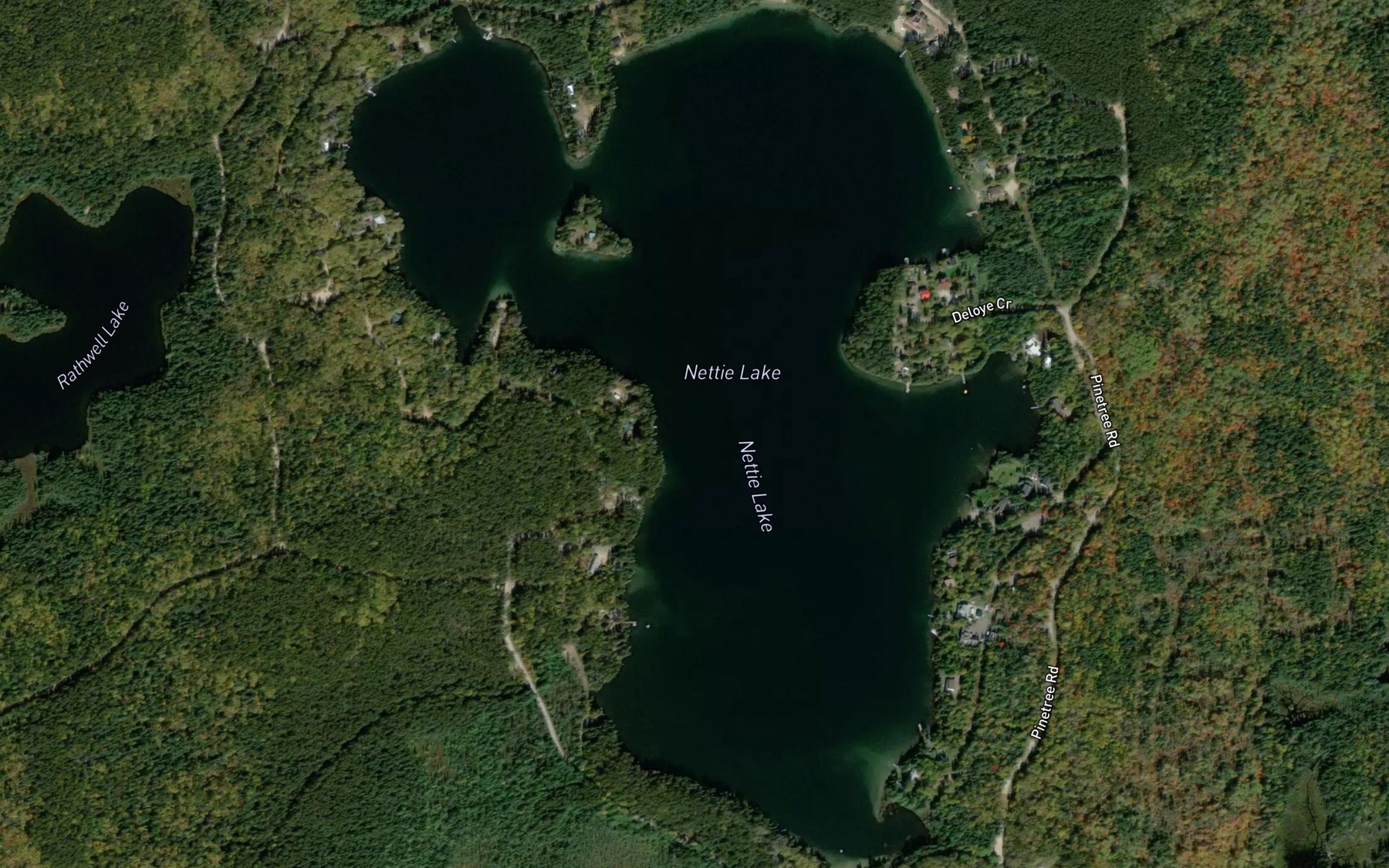 Satellite map of the Nettie Lake