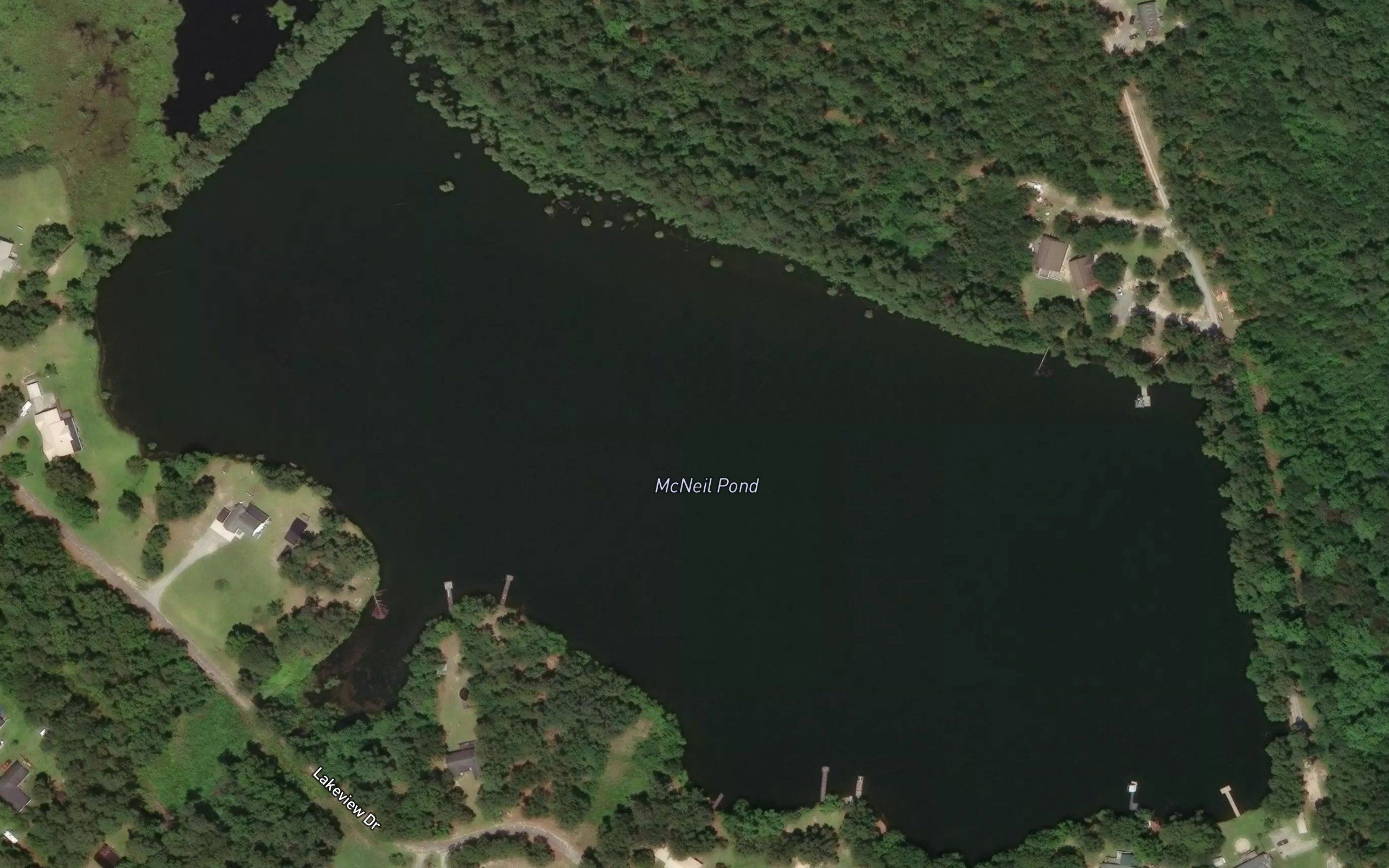 McNeil Pond
