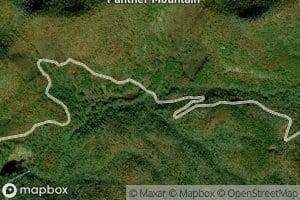 Rattlesnake Branch