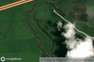 Dead Lake