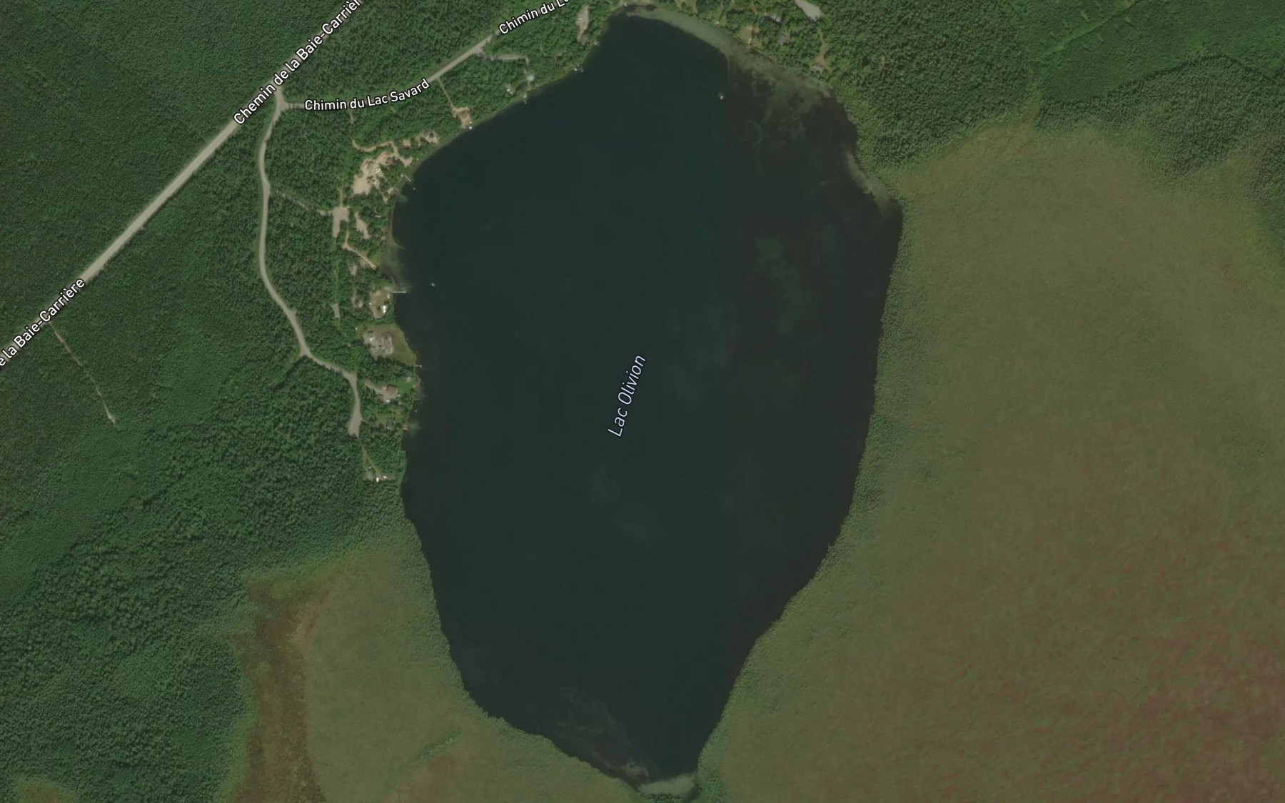 Satellite map of the Lac Ollivon