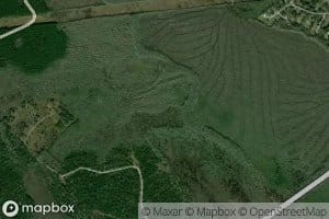 Little Buffalo Swamp