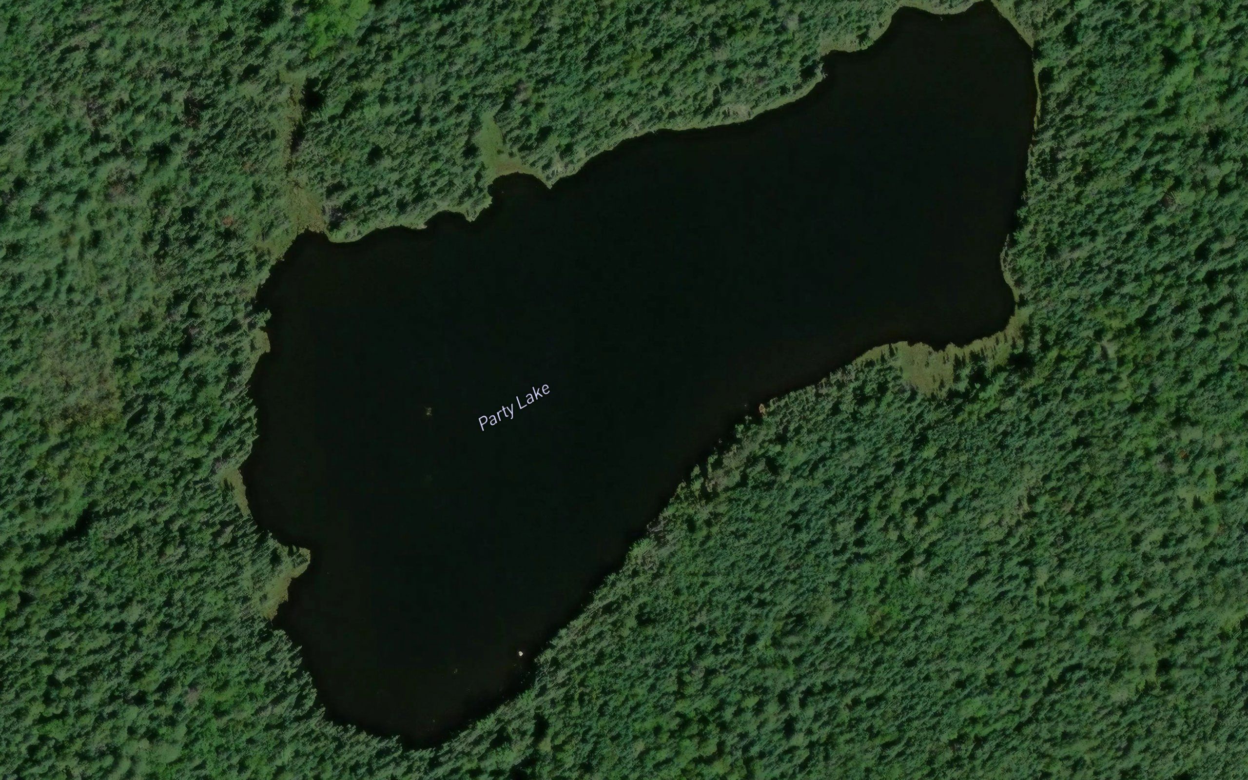 Party Lake