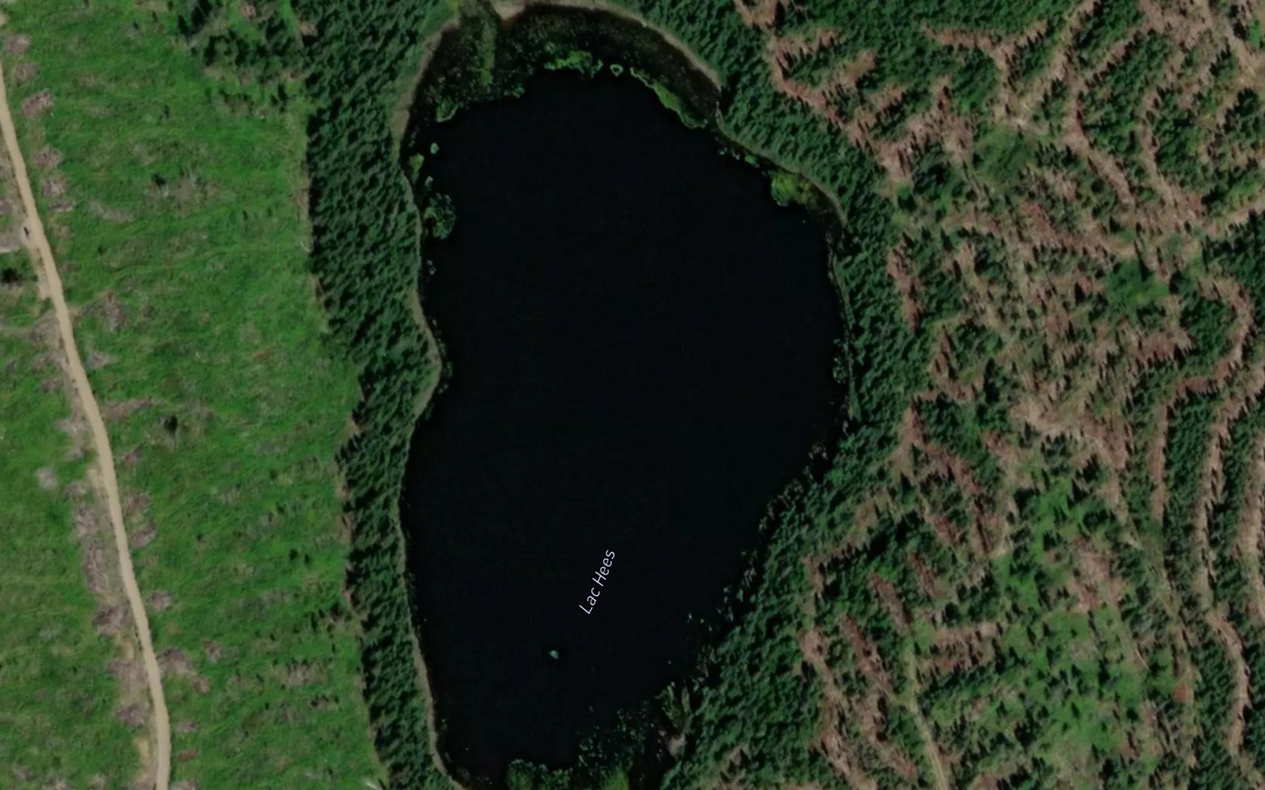 Satellite map of the Lac Hees