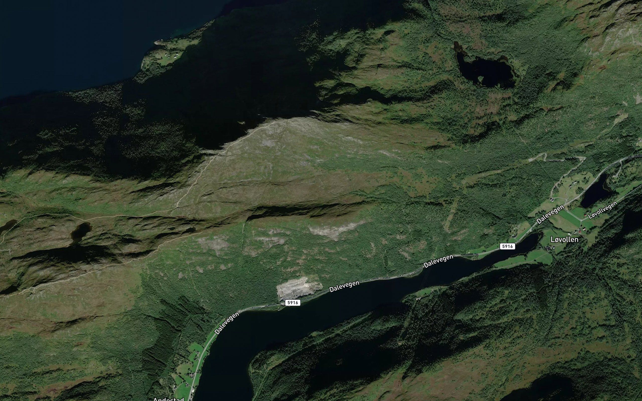 Byrkjenesgrova