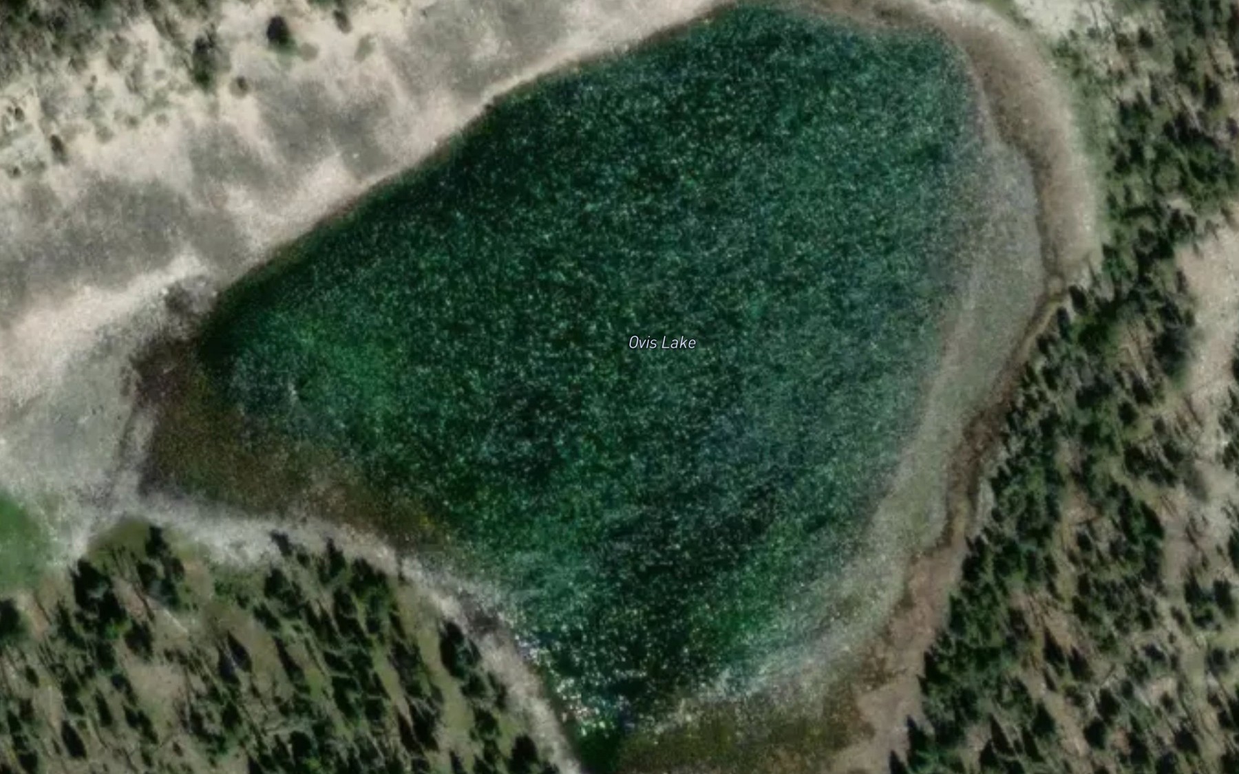 Satellite map of the Ovis Lake