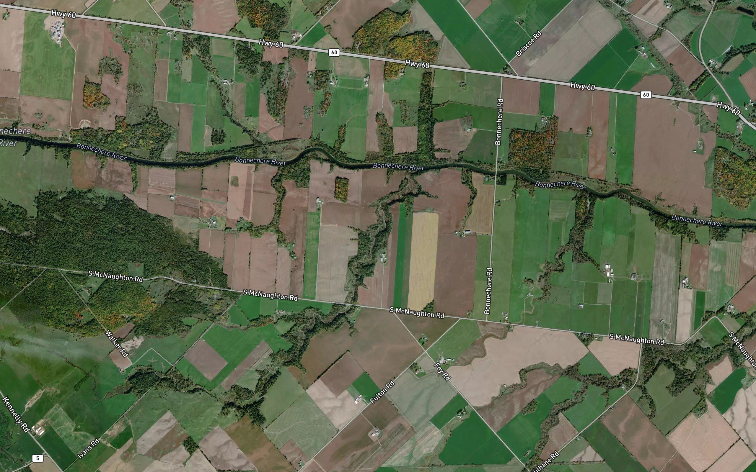 Pettigrews Creek