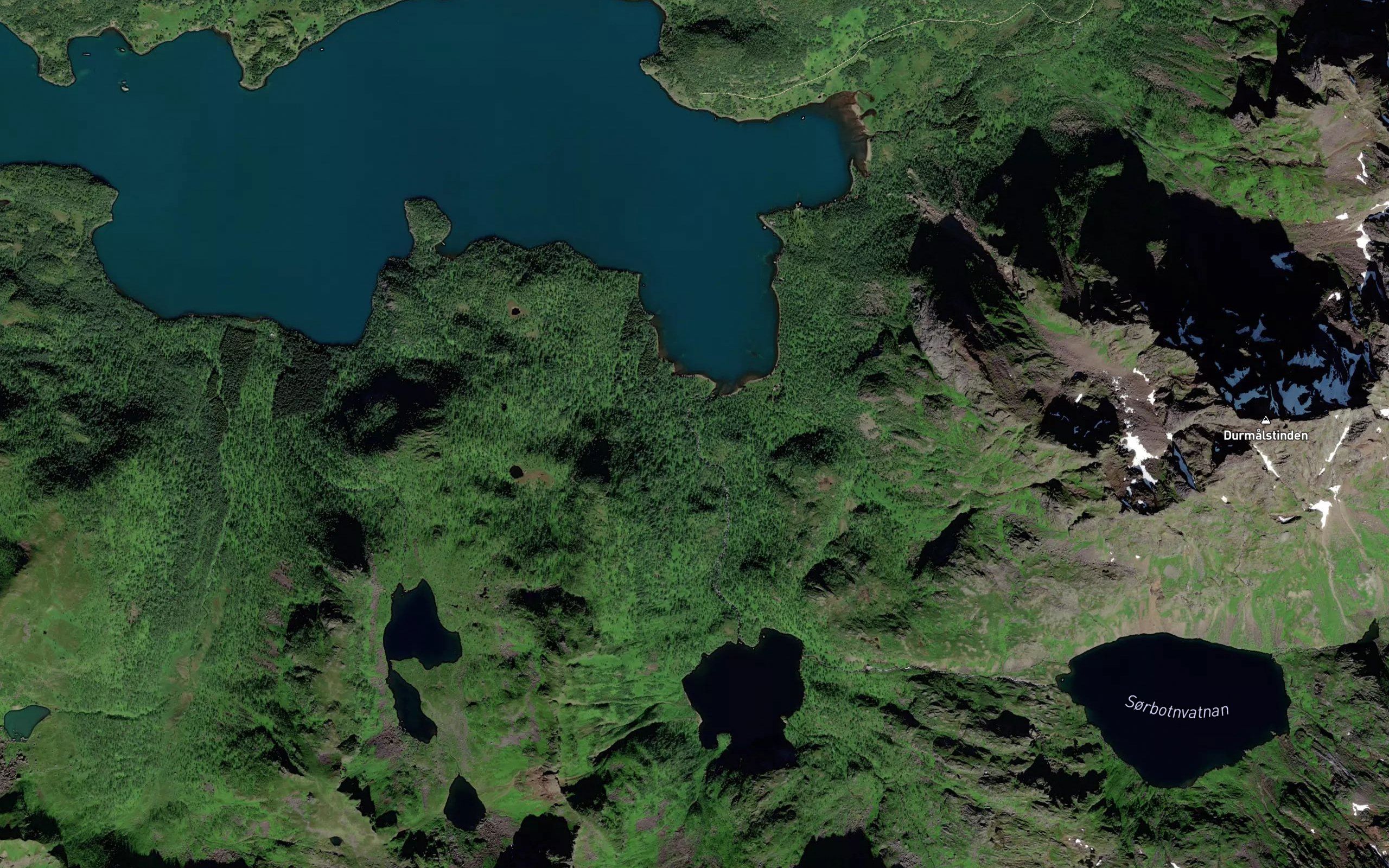Sorbotnelva