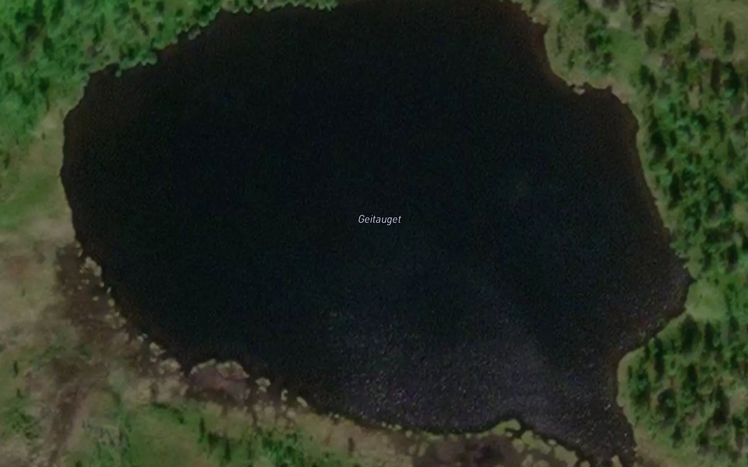Geitauget