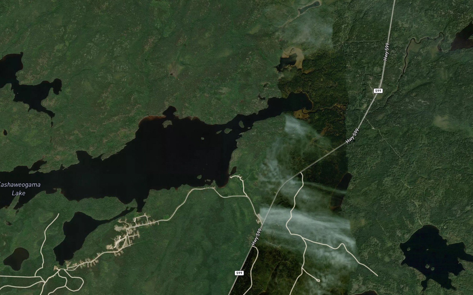 Satellite map of the Wiggle Creek