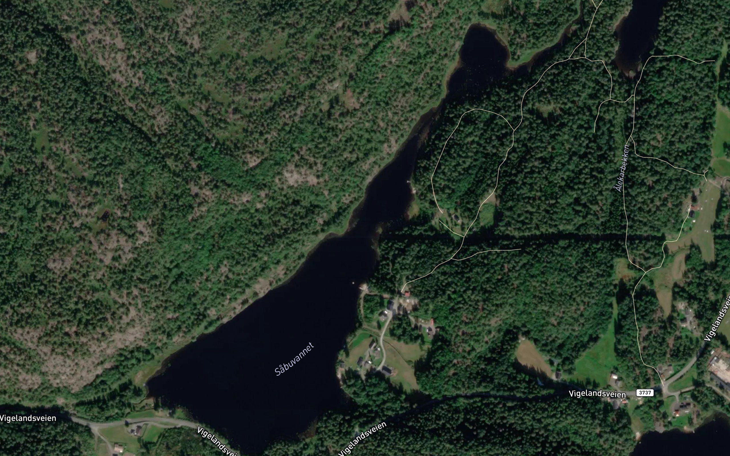Sabuvann